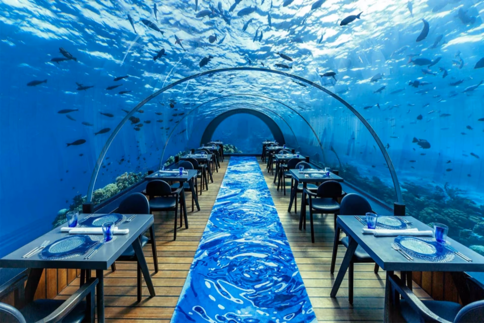 All-glass underwater restaurant in Maldives delivering a premium dining experience in the Bali vs Maldives Indian food accessibility comparison