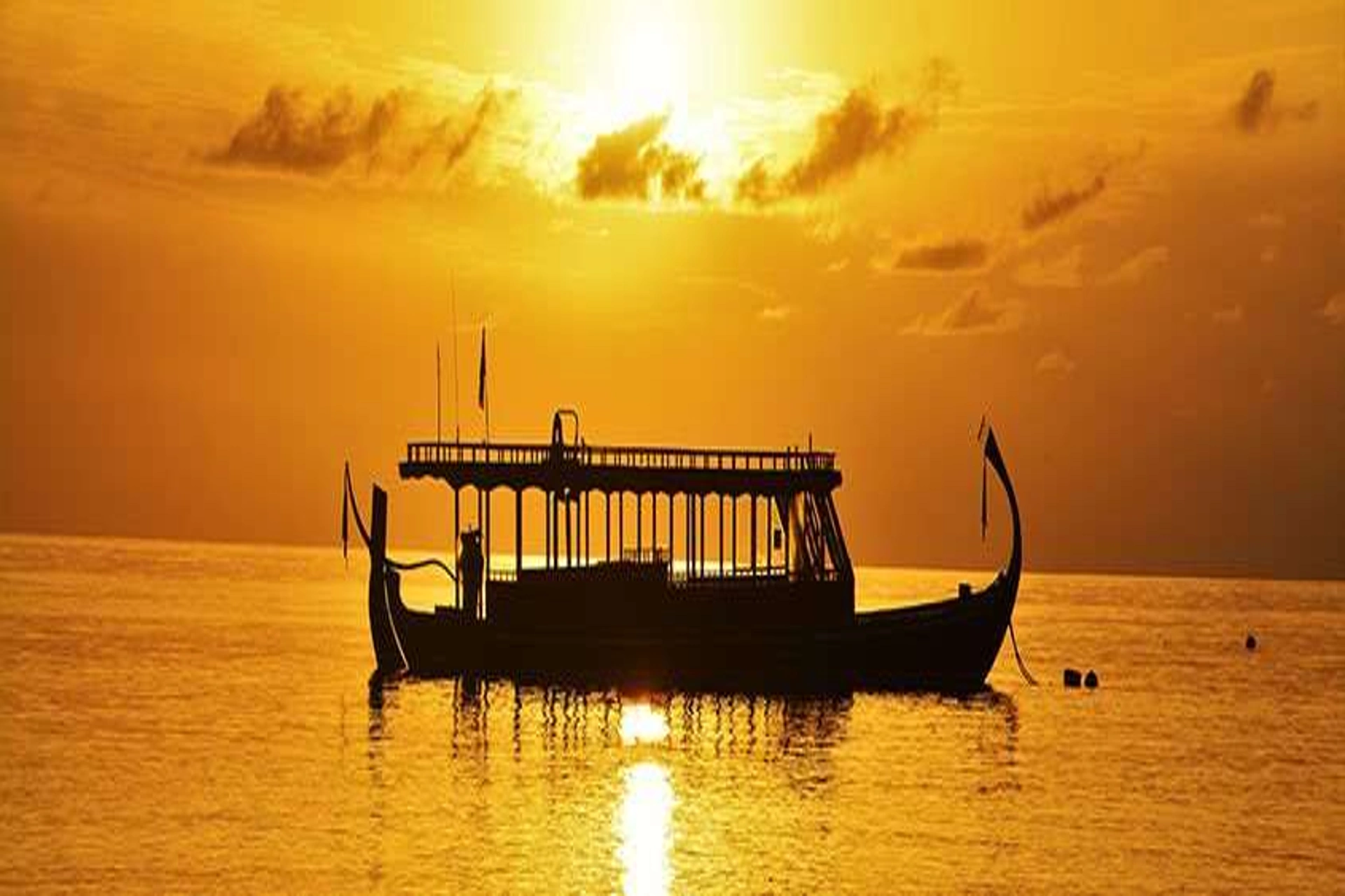 Sunset dolphin cruise in Maldives highlighting exclusive ocean activities in the Bali vs Maldives ultimate activity comparison
