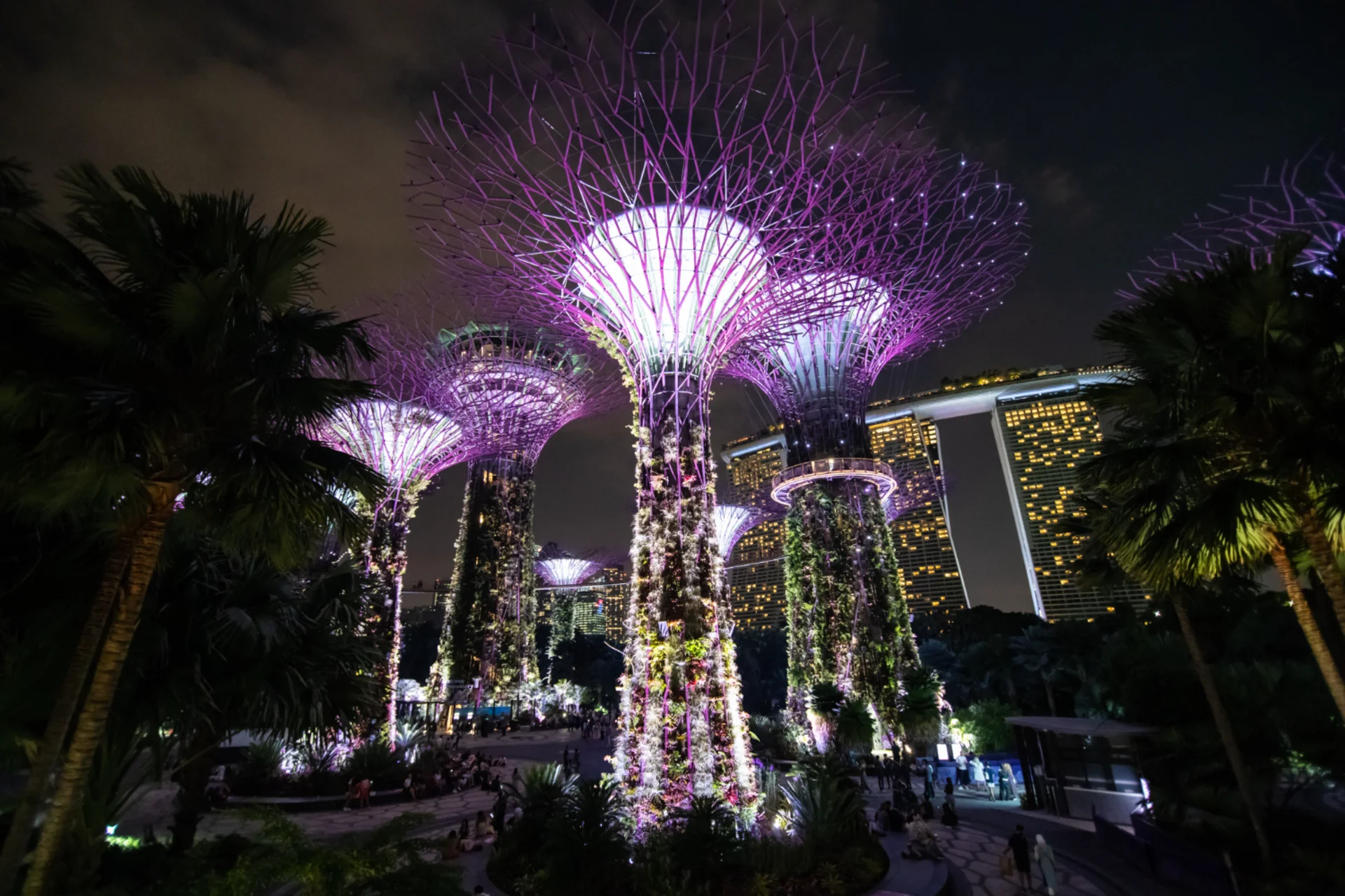 Gardens by the Bay Singapore — top attraction for first-time Indian travelers from Singapore vs Thailand infrastructure for first-time Indian travelers