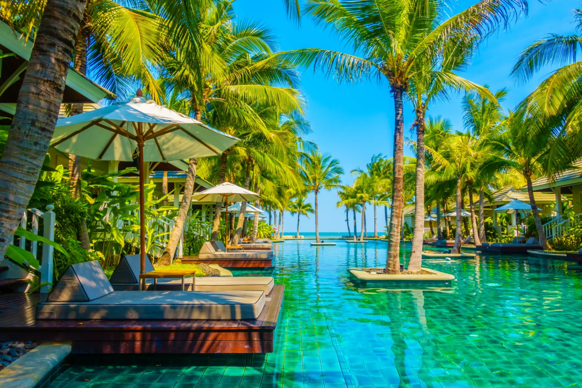 Luxury beachfront resort pool with palm trees and sunbeds — stay value and accommodation cost comparison in Mauritius vs Maldives for Indian budget travelers