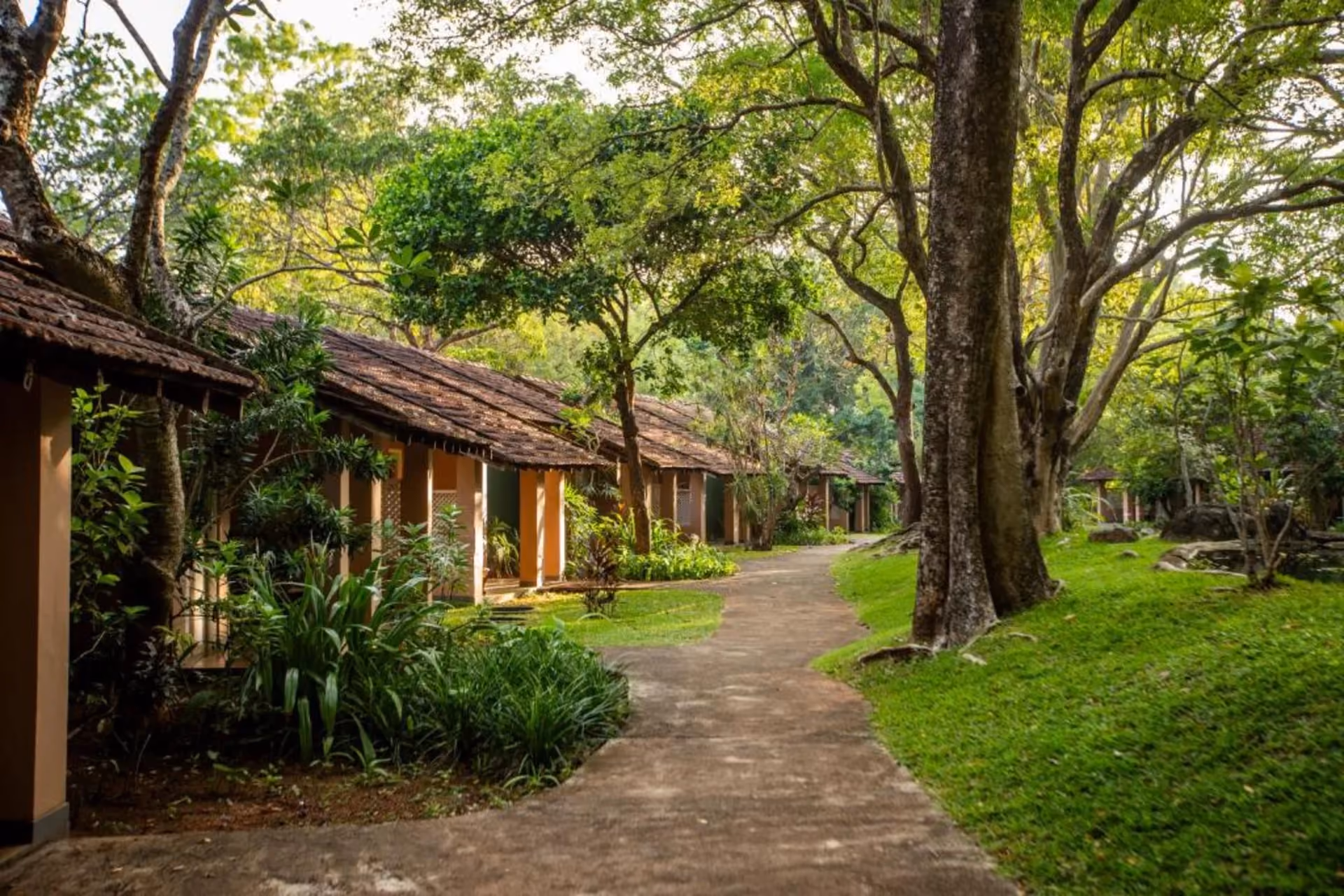 Sigiriya Village Hotel eco bungalows surrounded by tropical forest Sri Lanka – Budget Range Comfort Stay by Region Cambodia vs Sri Lanka The Real Stay Experience Comparison