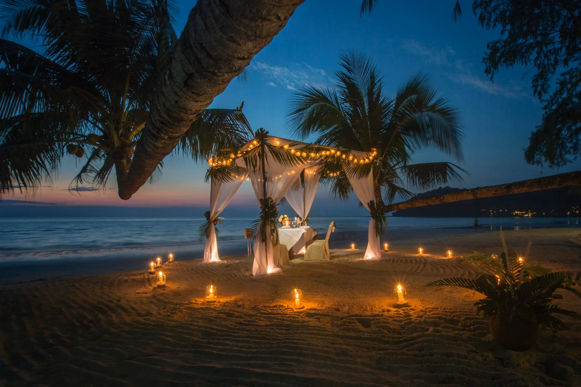 Romantic Beachside Dinner