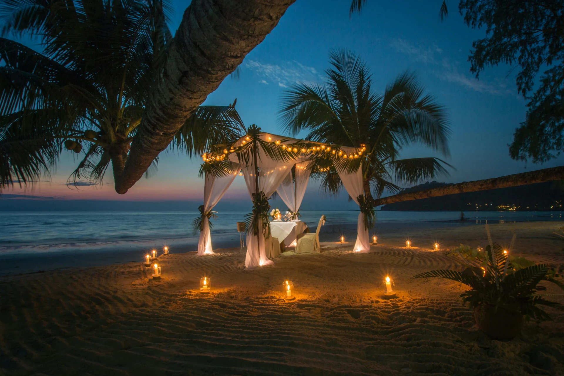 Romantic Beachside Dinner