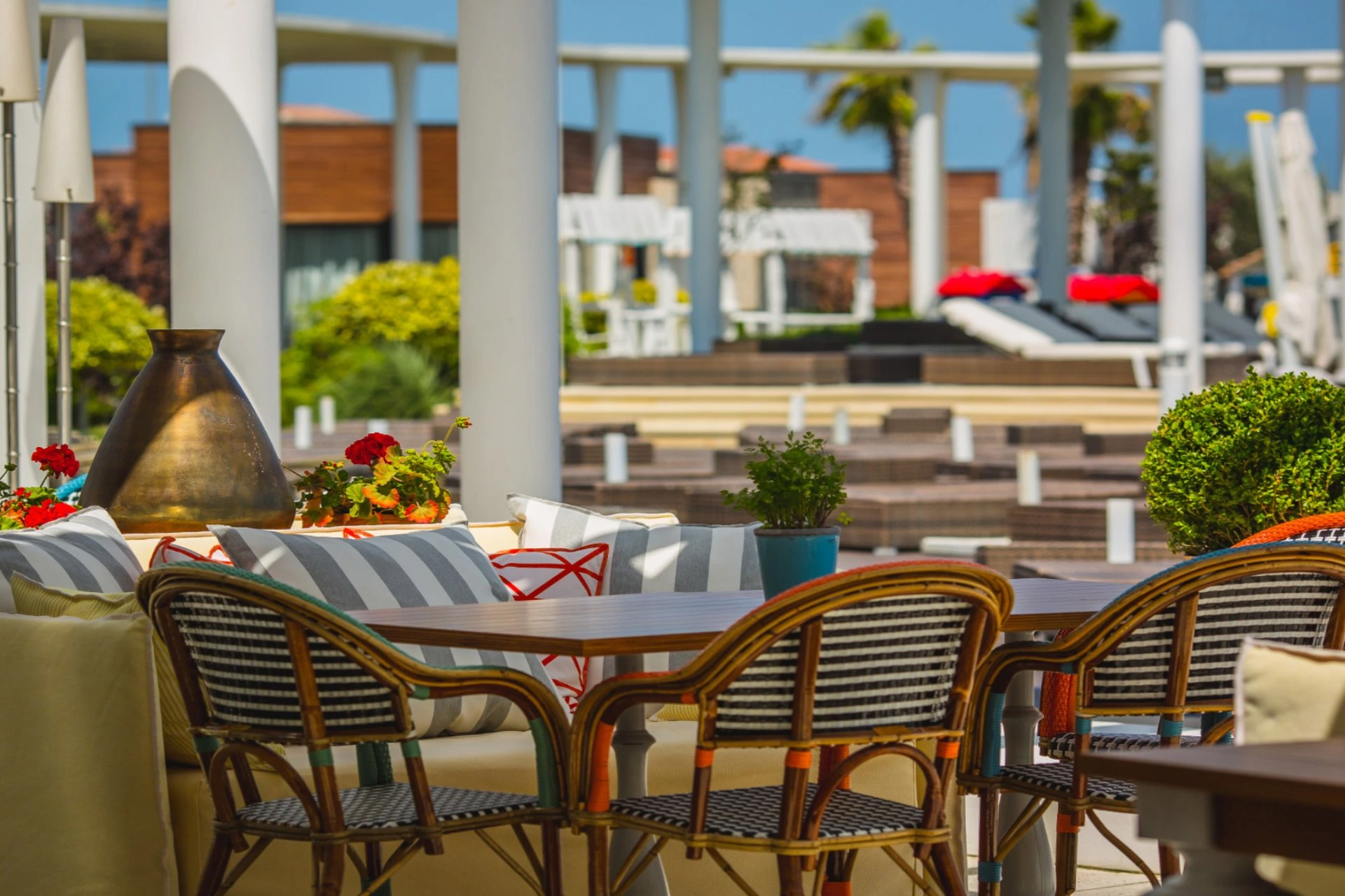 Outdoor seating at an Indian restaurant in New Zealand vs Switzerland travel dining guide