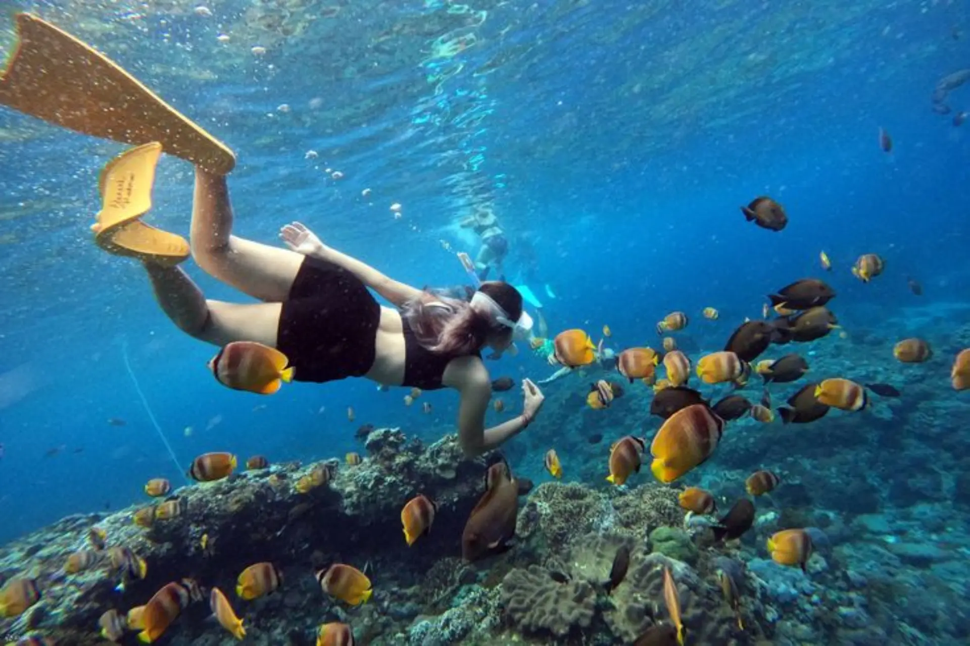 Snorkeler swimming above coral reef with yellow fish at Bali Crystal Bay