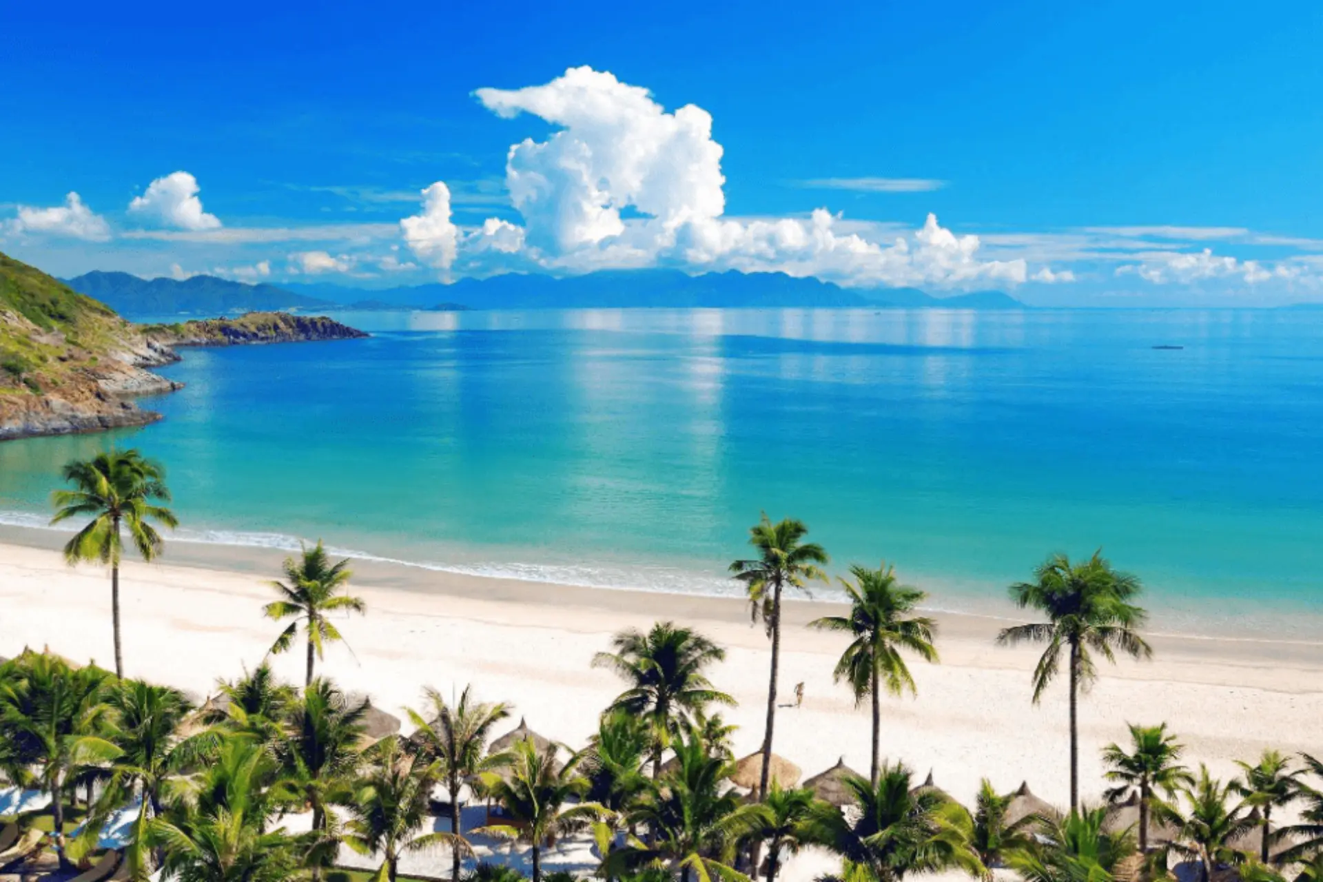 My Khe Beach with white sand and palm trees