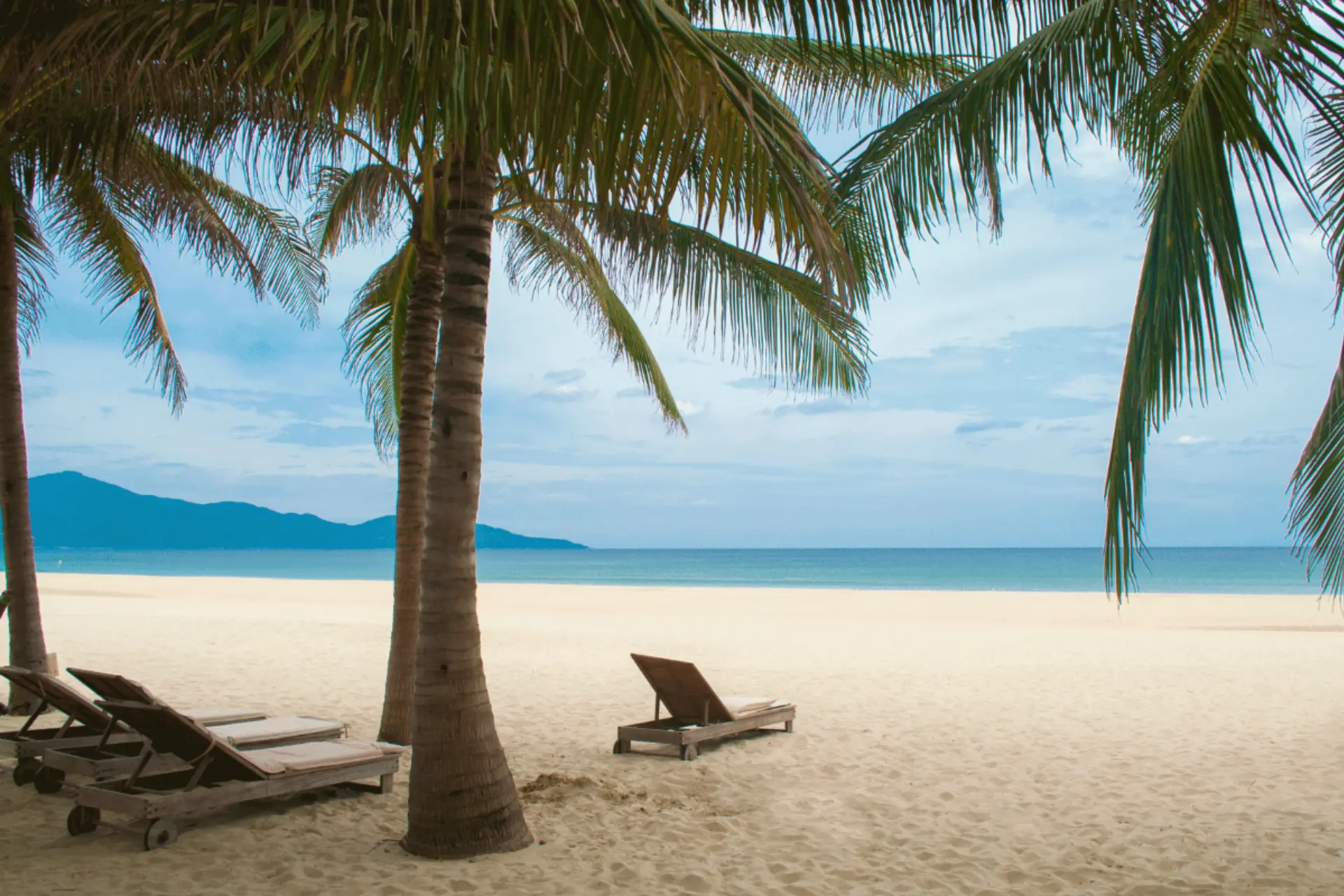 Beach loungers under palm trees at My Khe Beach Vietnam