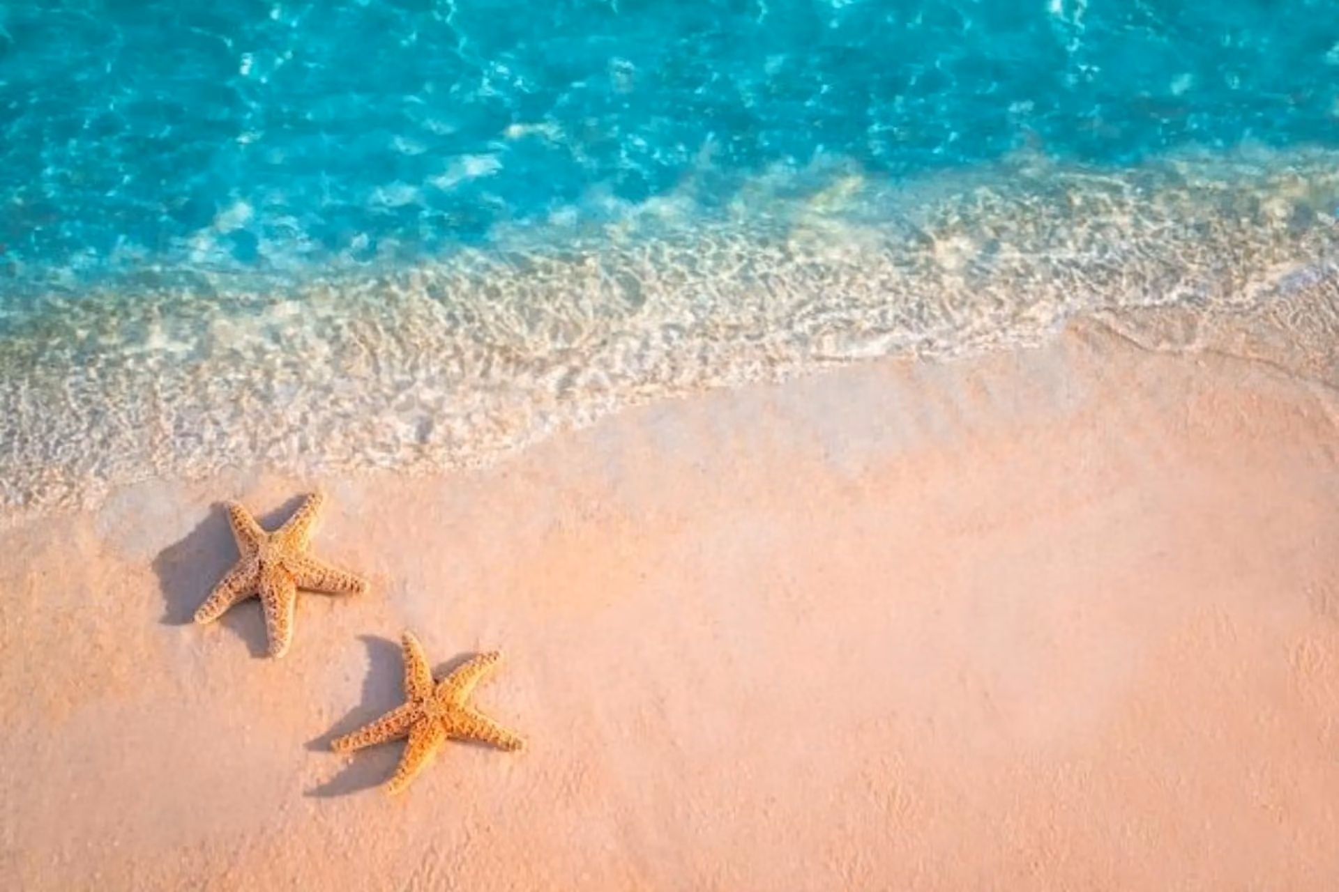 Two starfish on sand at Vietnam beach