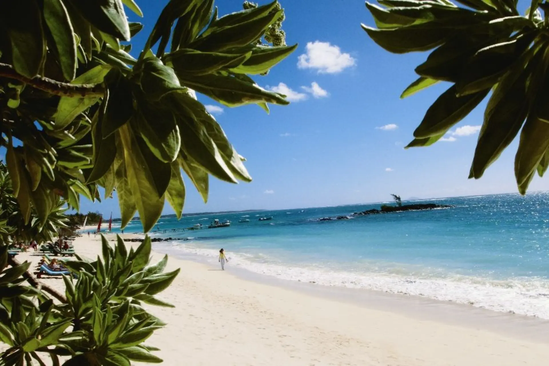 Tropical plants frame sandy beach at Bella Mare Mauritius