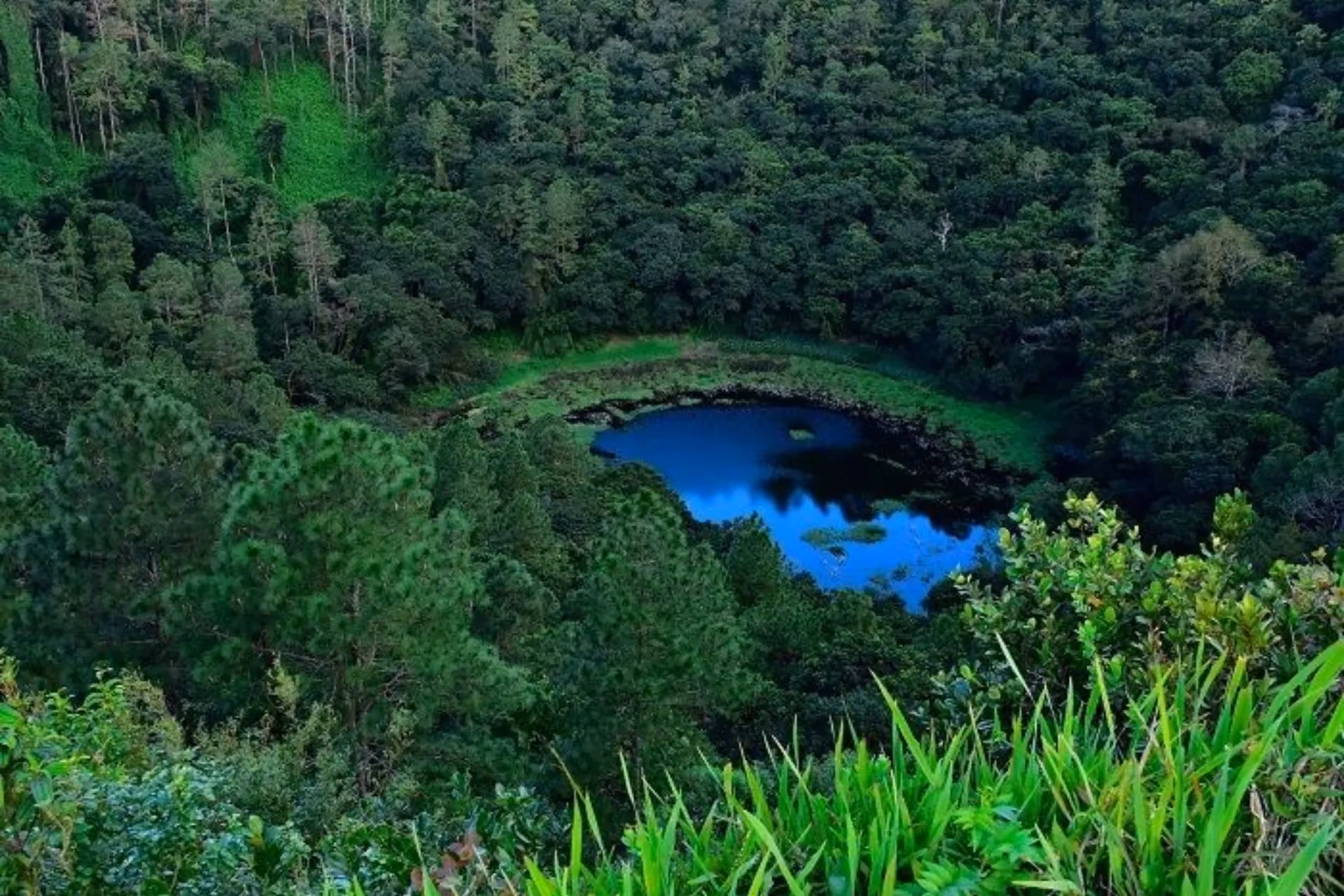 Blue lake surrounded by green forest in Mauritius