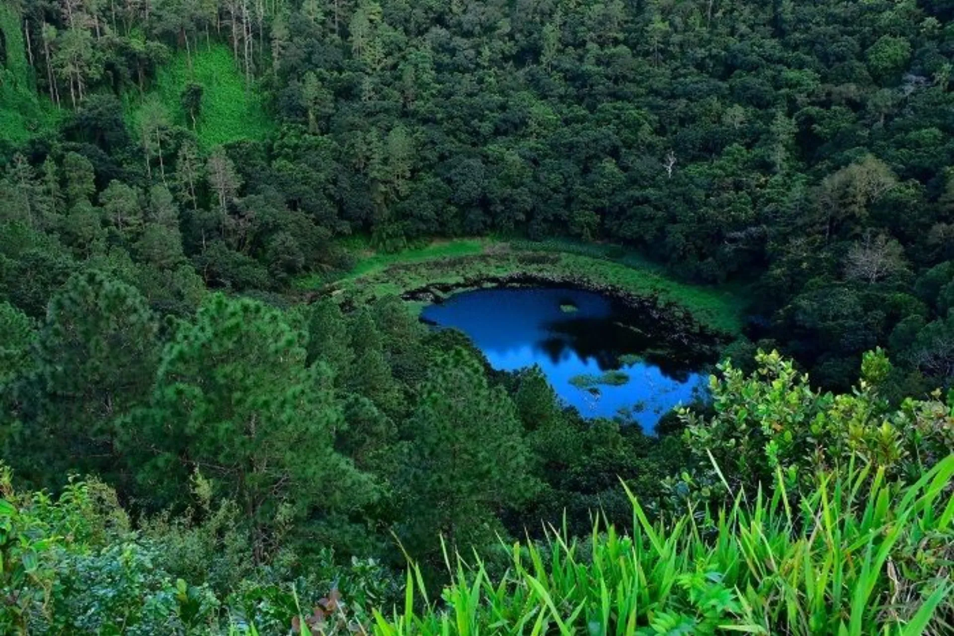 Blue lake surrounded by green forest in Mauritius