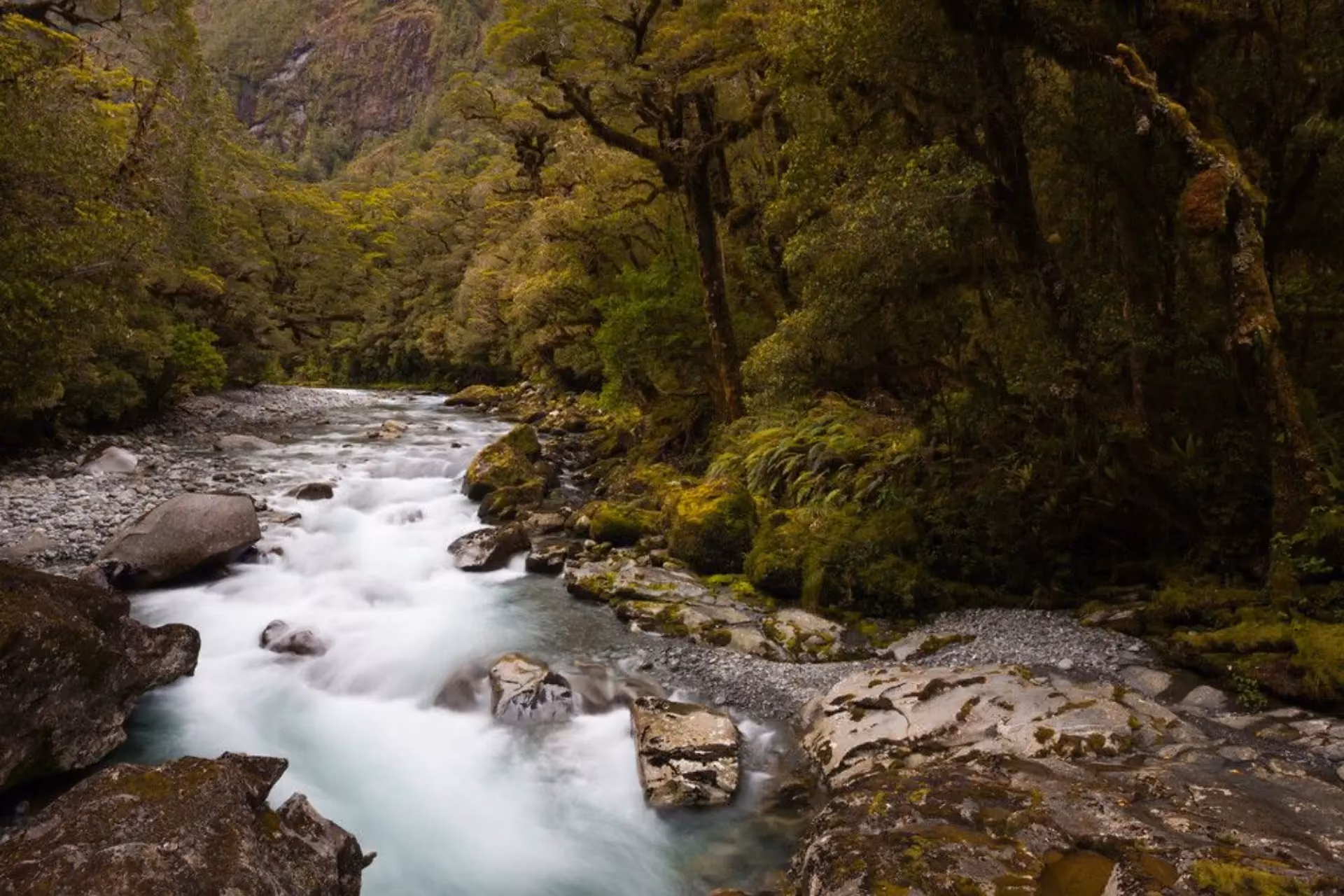 Flowing stream through moss-covered rocks, The Chasm New Zealand