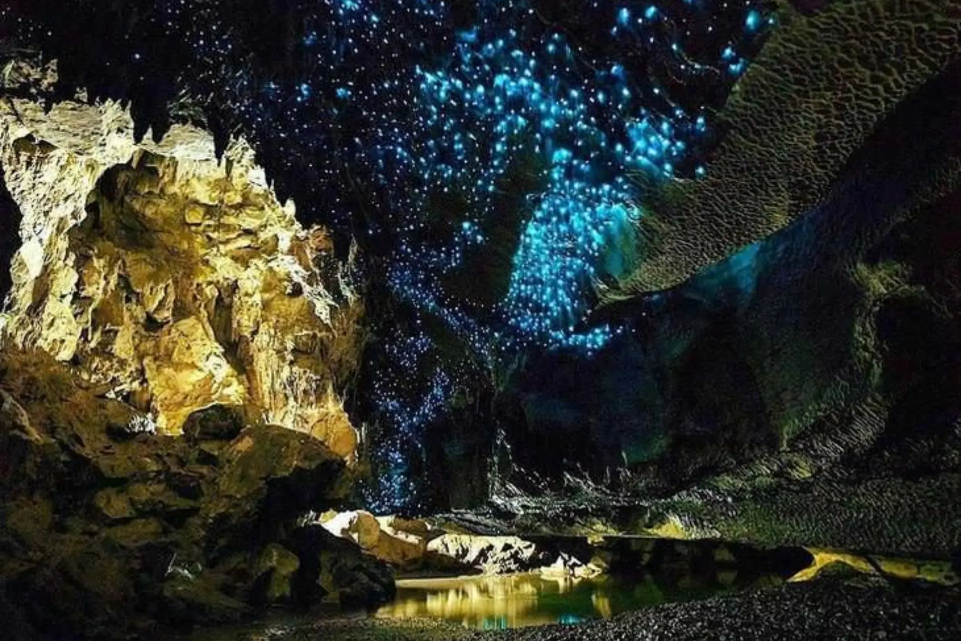 Glowworms lighting cave ceiling at Waitomo Caves New Zealand