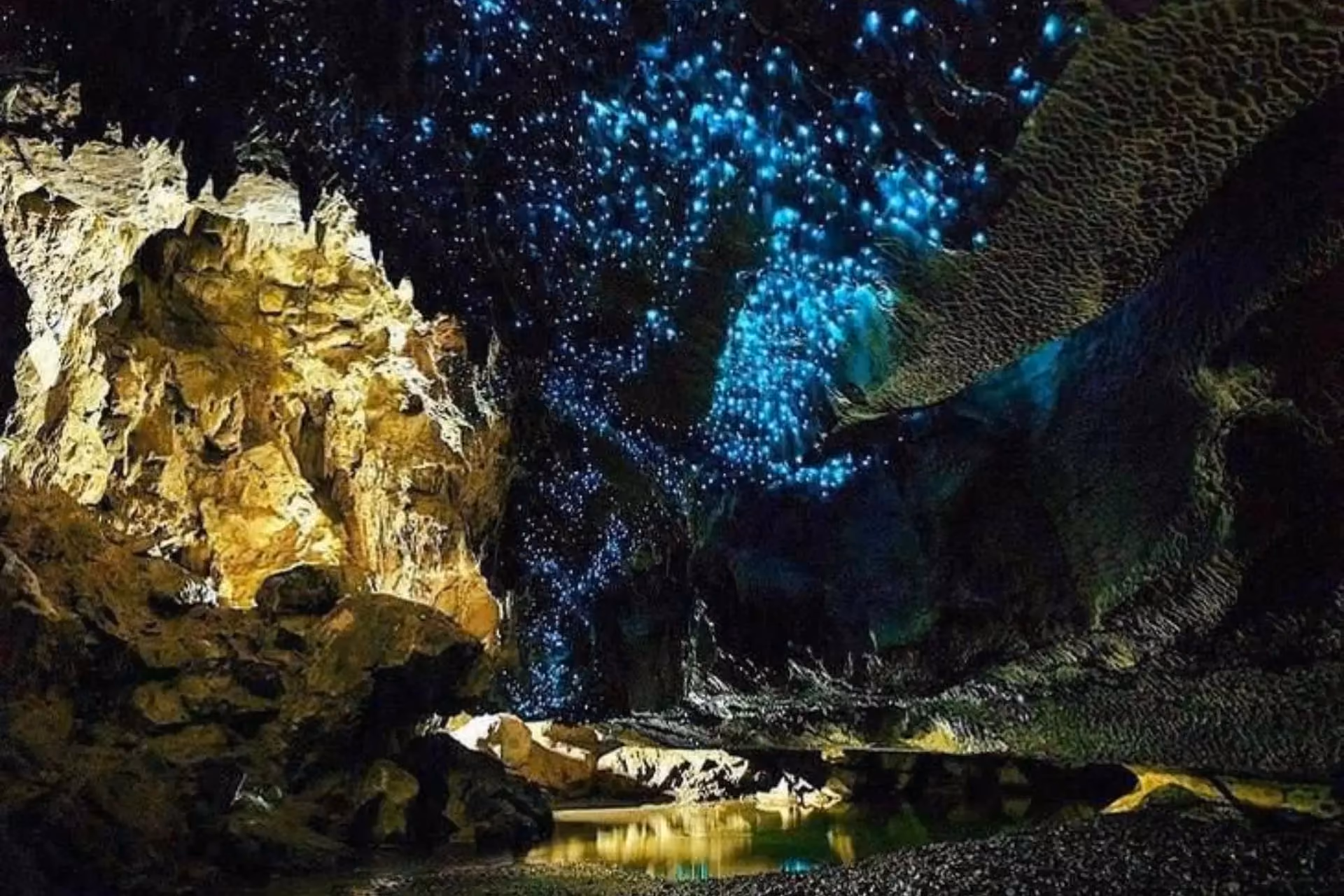Glowworms lighting cave ceiling at Waitomo Caves New Zealand