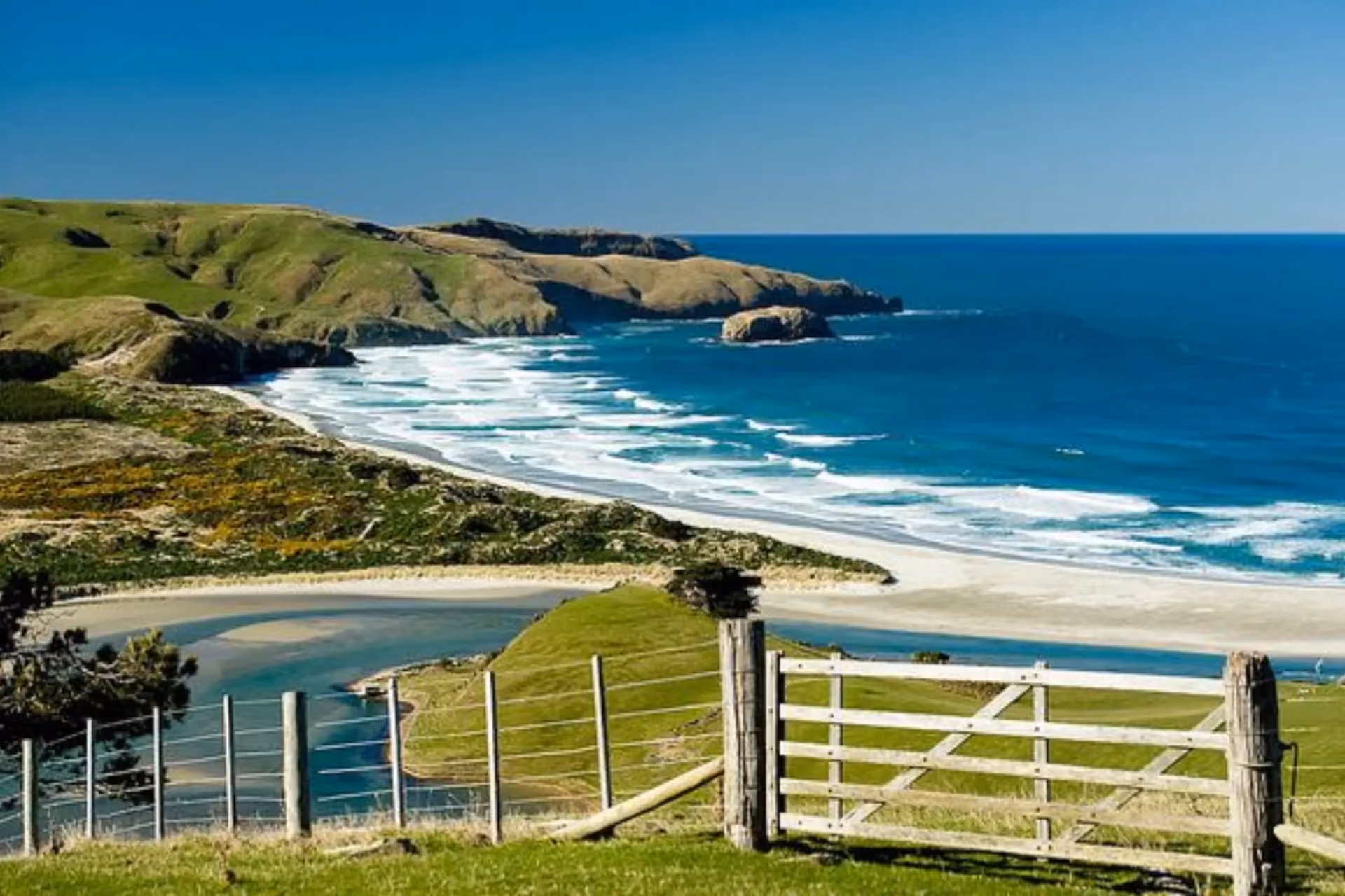 Coastal cliffs and beach at Otago, New Zealand