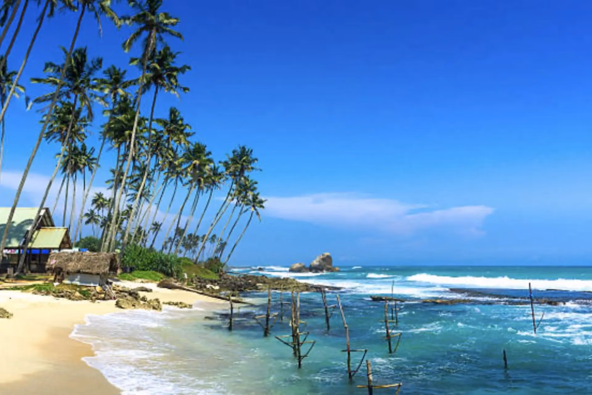 Ahangama Beach Sri Lanka with palm trees and wooden posts in water