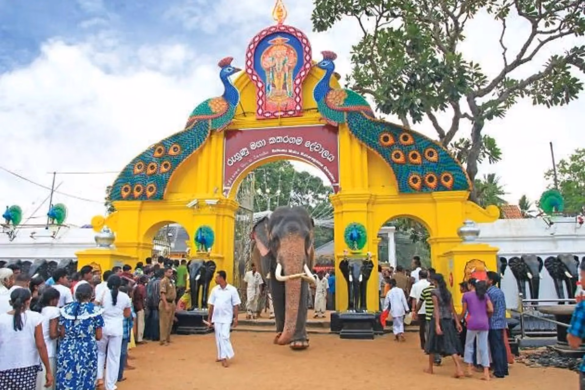 Elephant walking through yellow arch at Kataragama Temple Sri Lanka