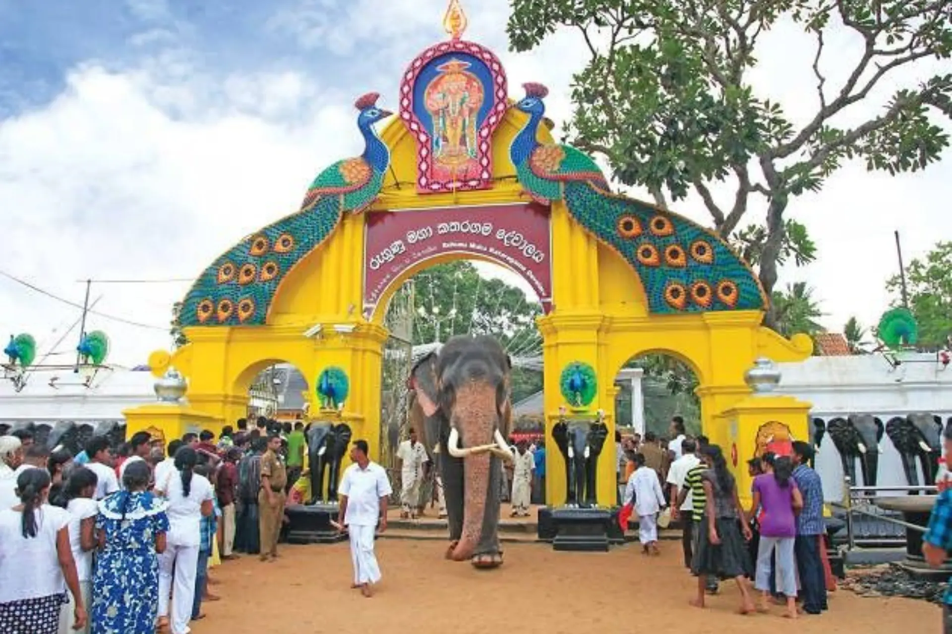 Elephant walking through yellow arch at Kataragama Temple Sri Lanka