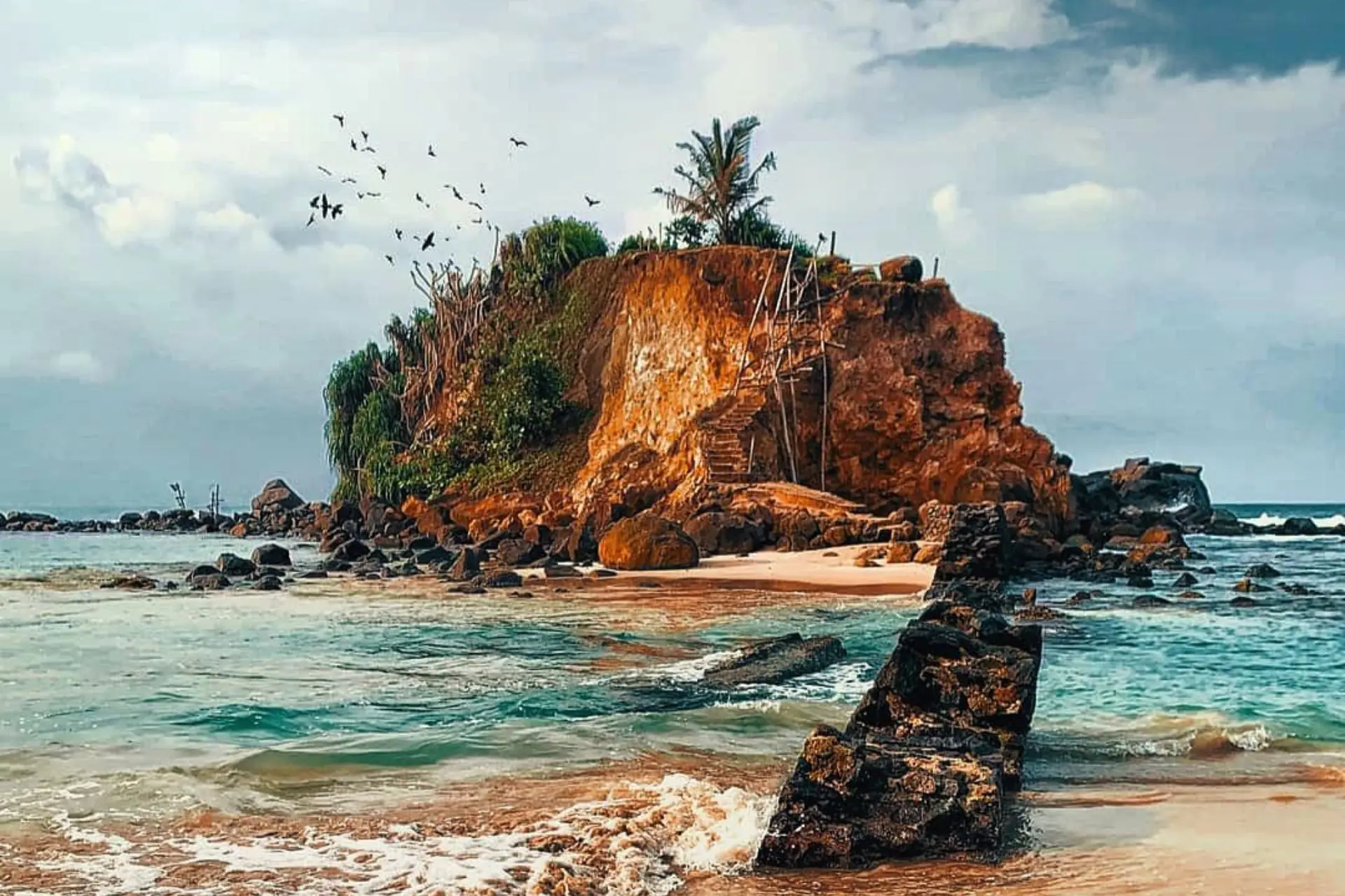 Rocky island with palm tree and birds, Sri Lanka beach