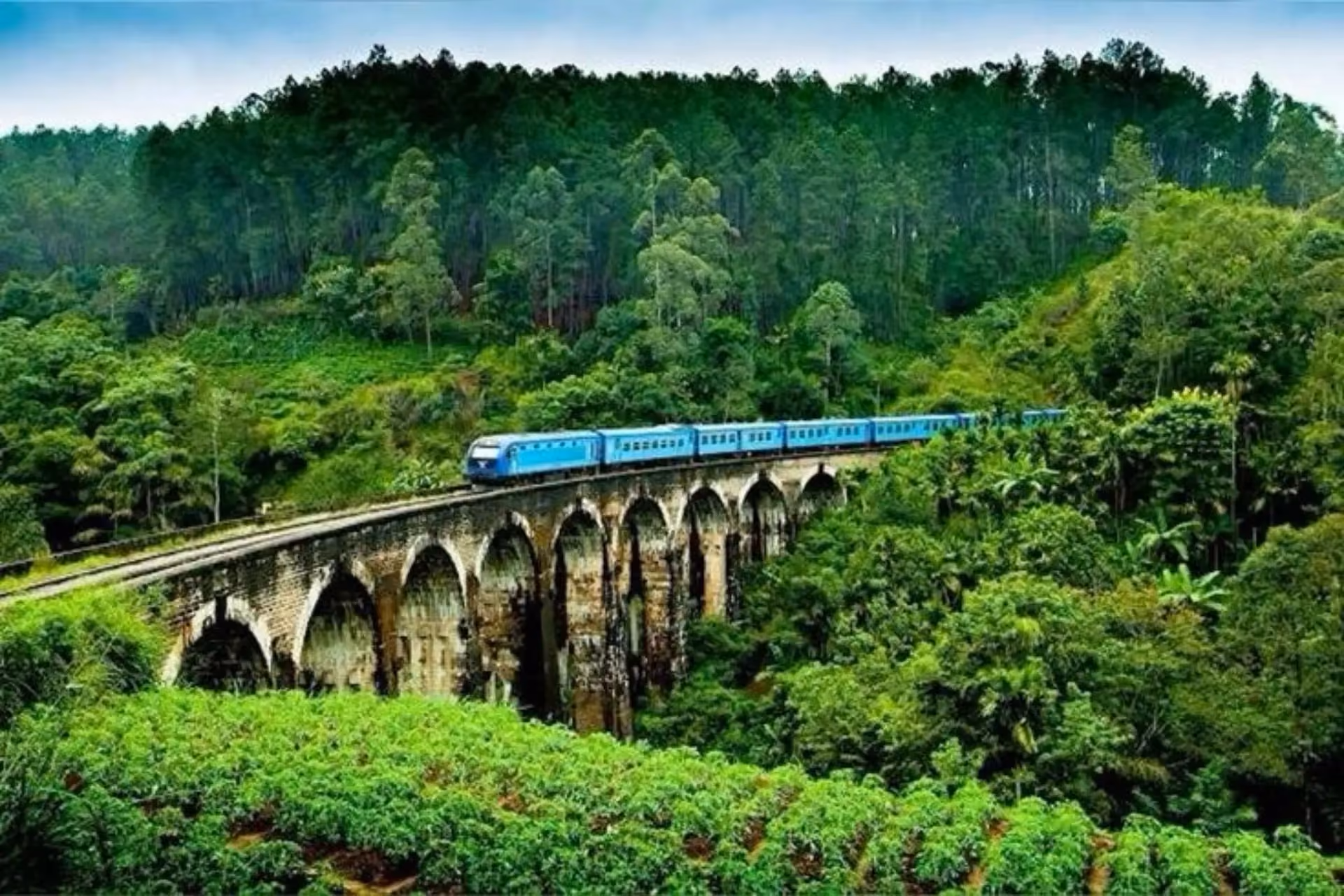 Blue train crossing stone bridge over green forest in Ella