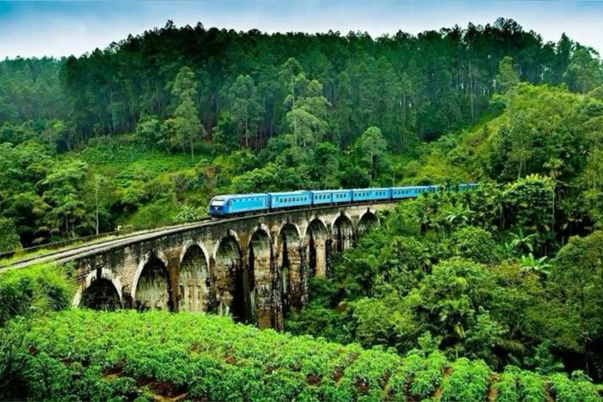 Blue train crossing stone bridge over green forest in Ella