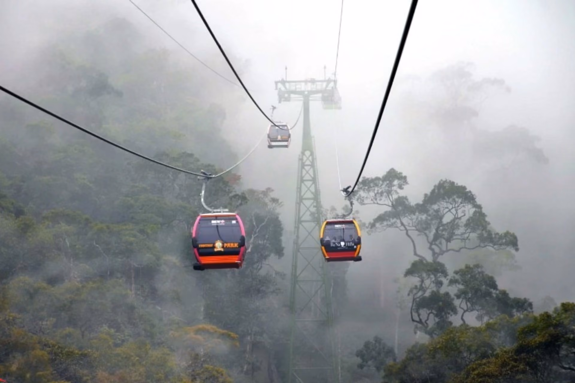 Red cable cars suspended over misty forest in Da Nang