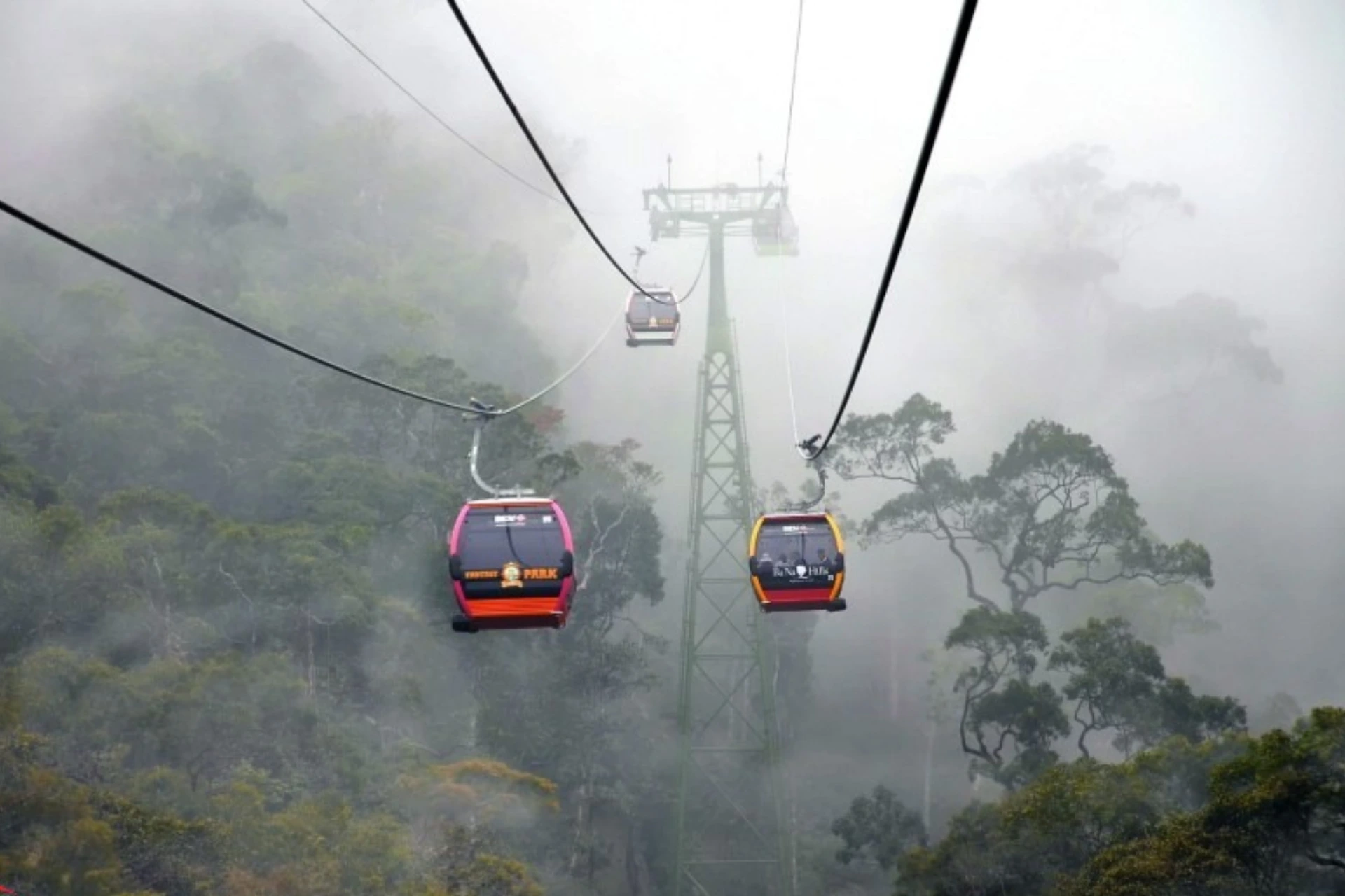 Red cable cars suspended over misty forest in Da Nang