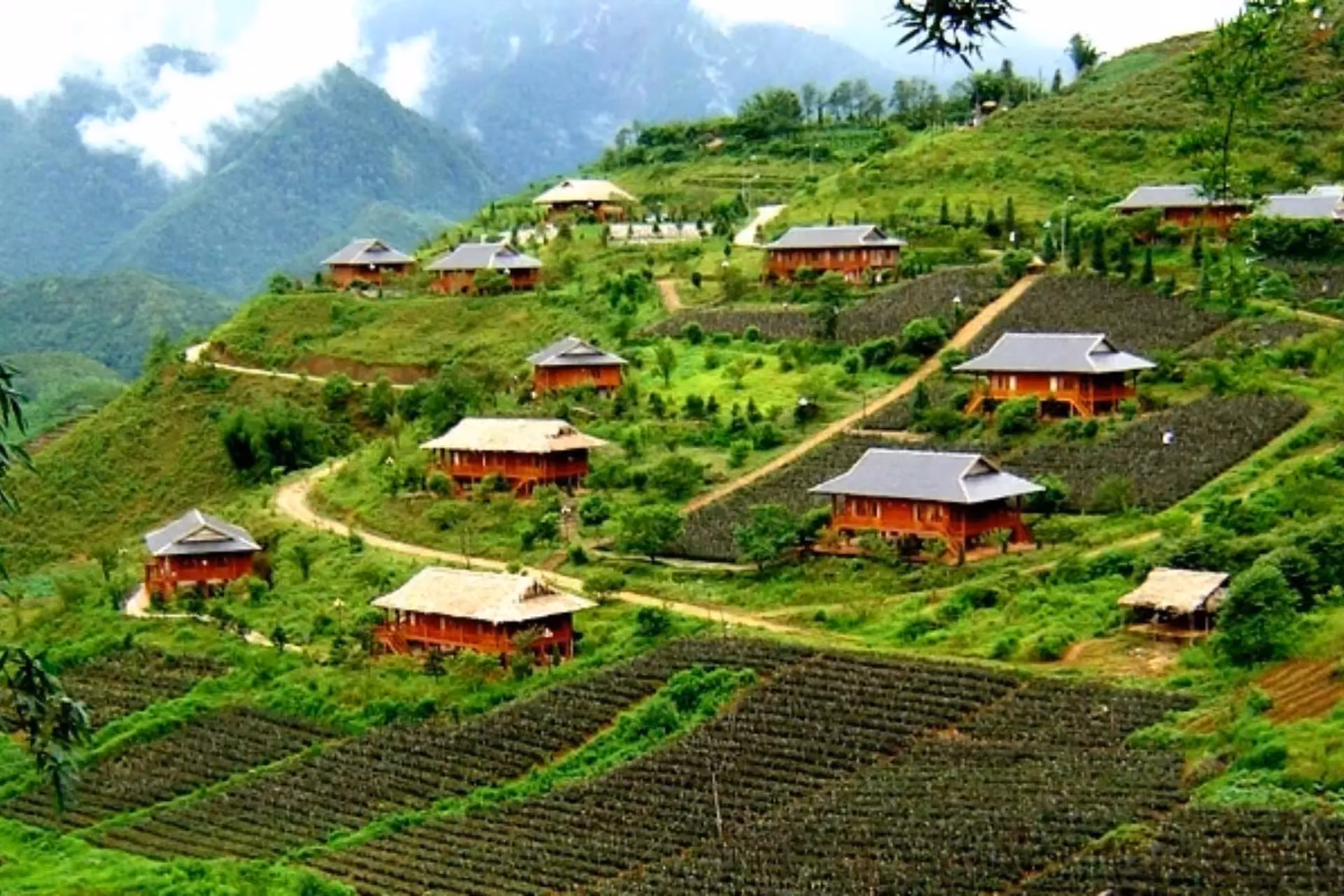 Red houses scattered on green hillside in Sapa Village