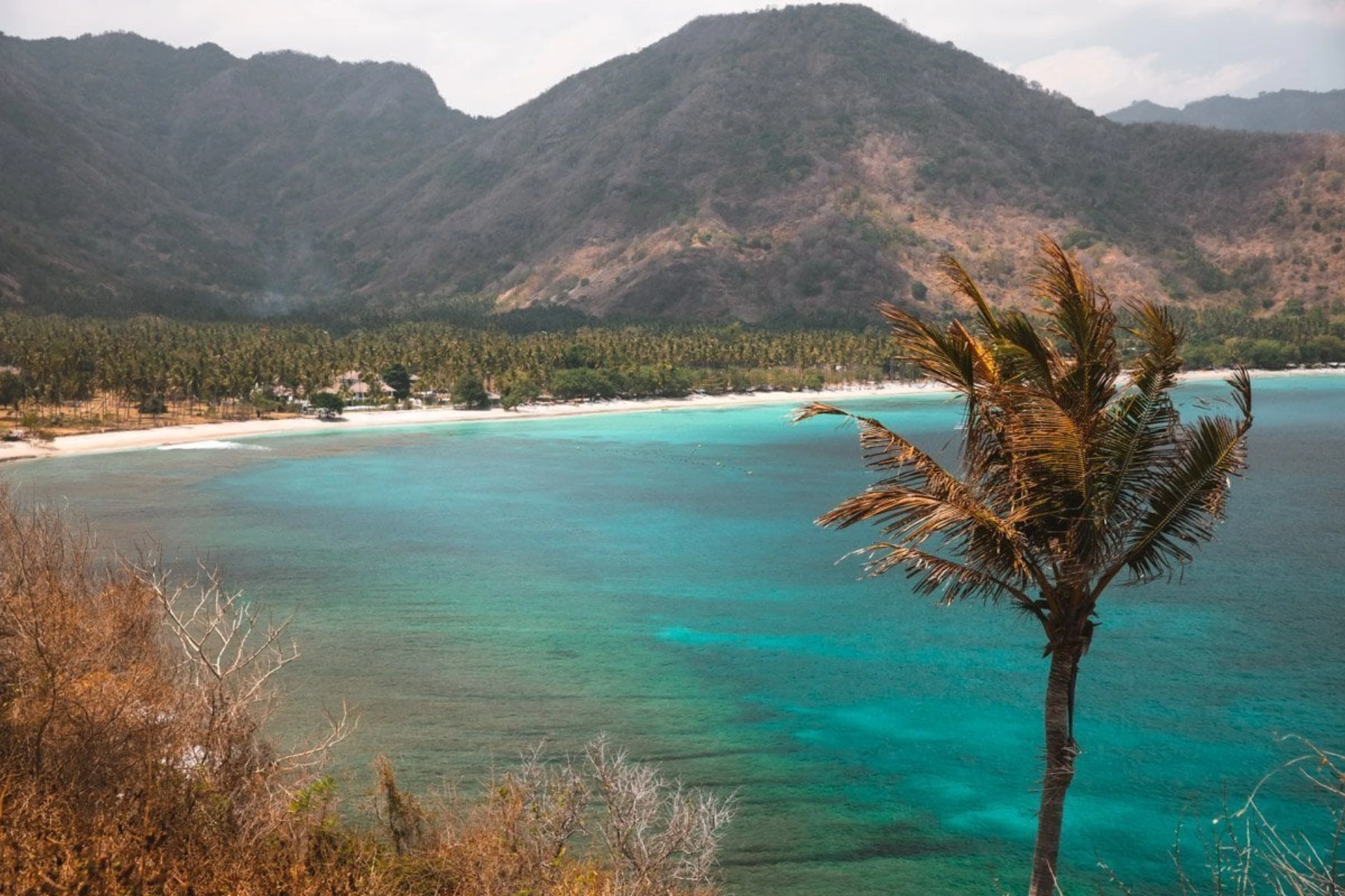 Senggigi beach with blue-green water and palm tree, mountains beyond