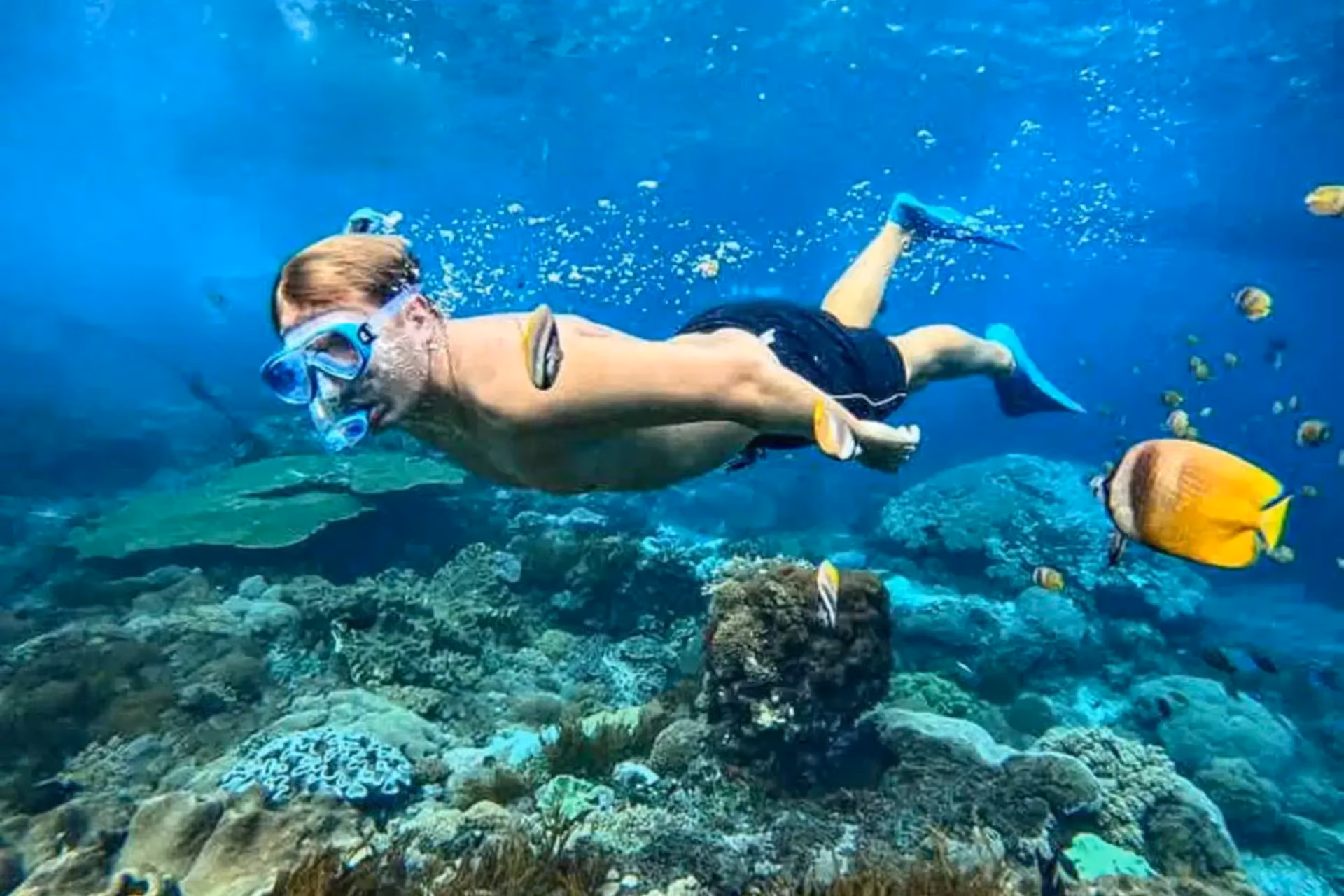 Snorkeler swimming above coral reef at Phi Phi Islands