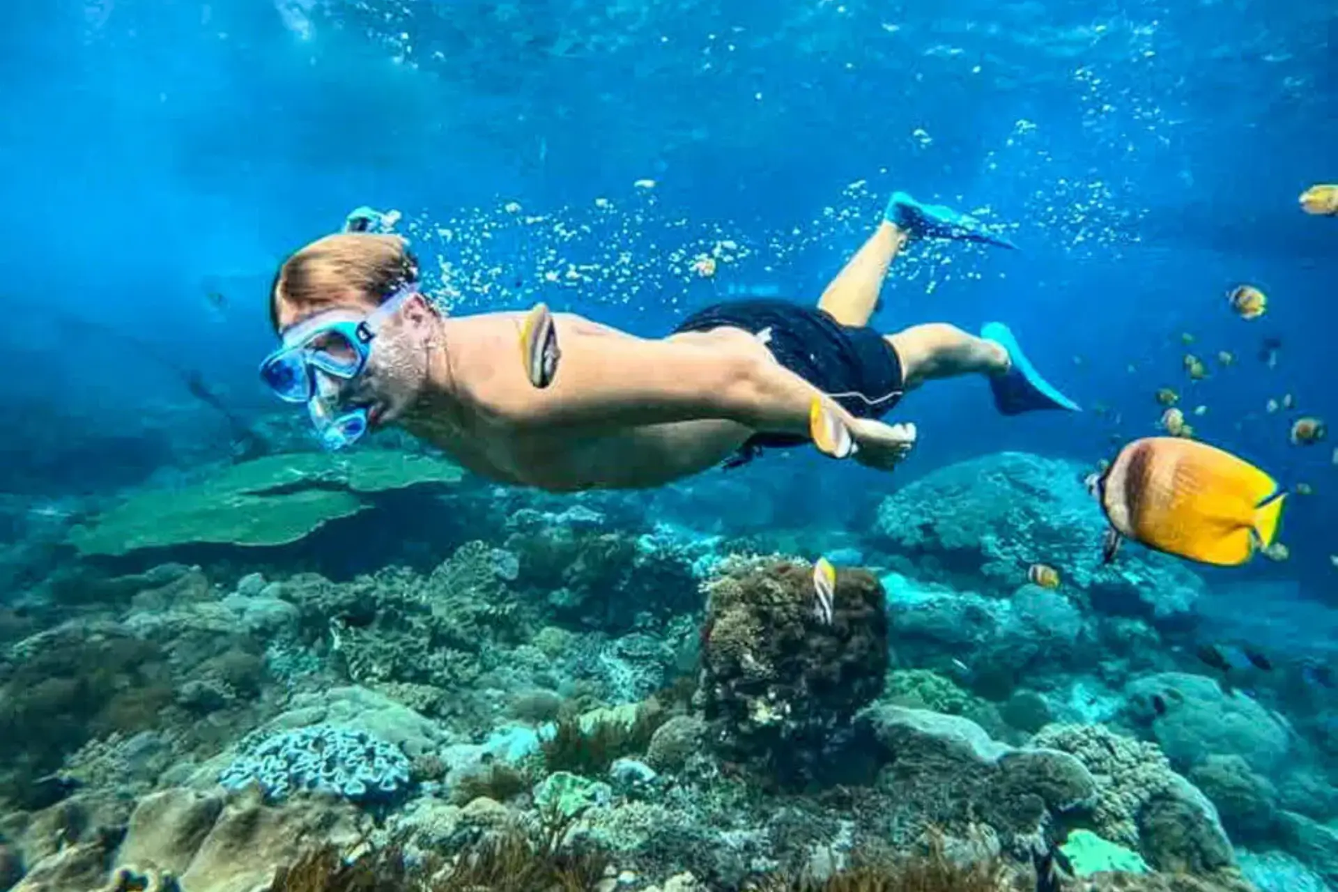 Snorkeler swimming above coral reef at Phi Phi Islands