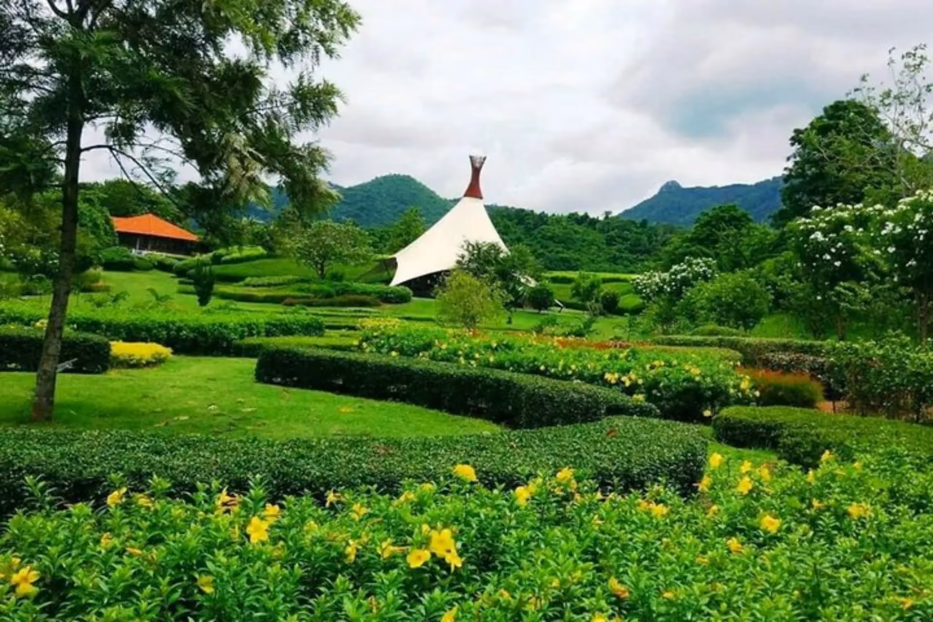 White tent with brown roof in Khao Yai green gardens