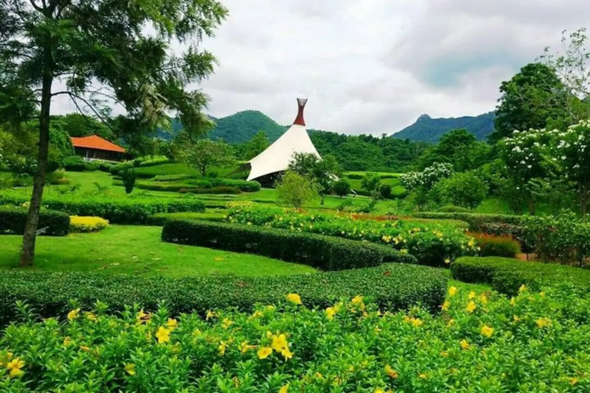 White tent with brown roof in Khao Yai green gardens