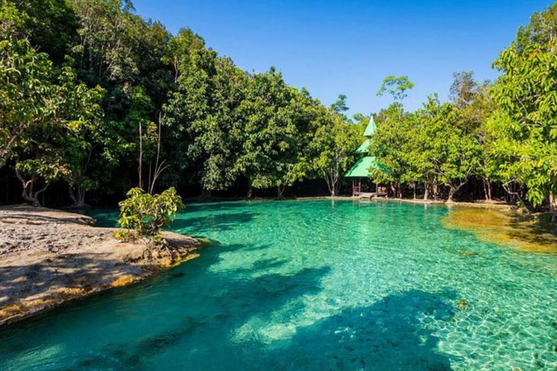 Clear blue-green water surrounded by trees in Krabi
