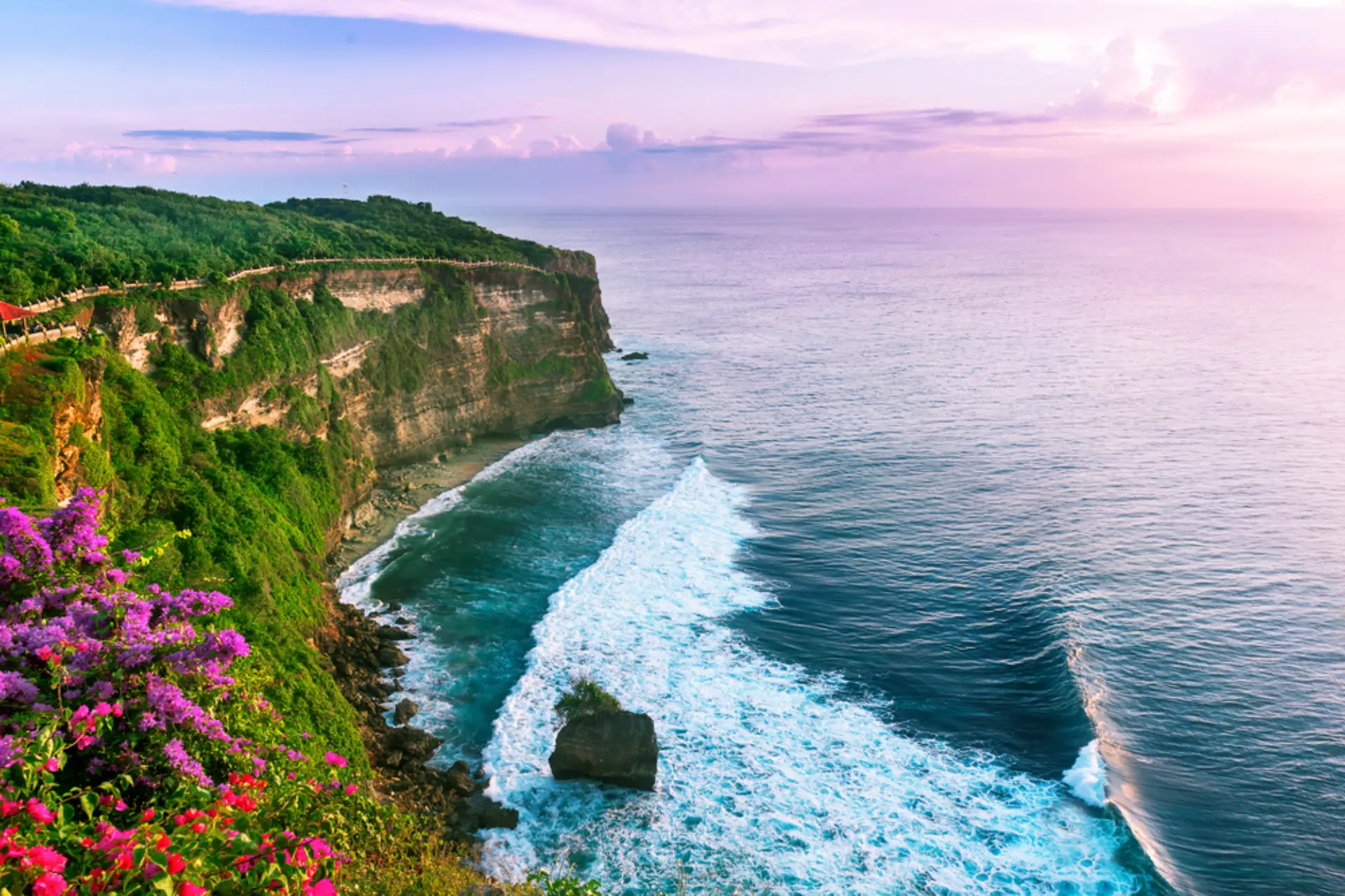 Cliff with pink flowers overlooking ocean waves in Bali