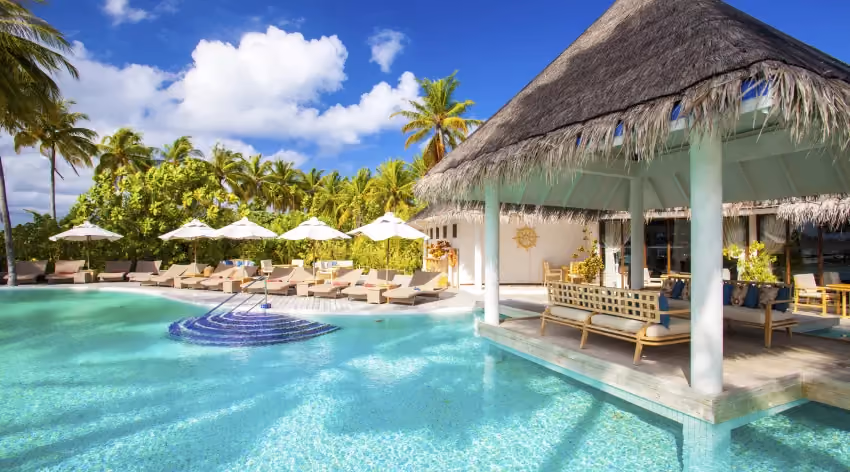 Tropical resort pool with thatched roof shelter and palm trees