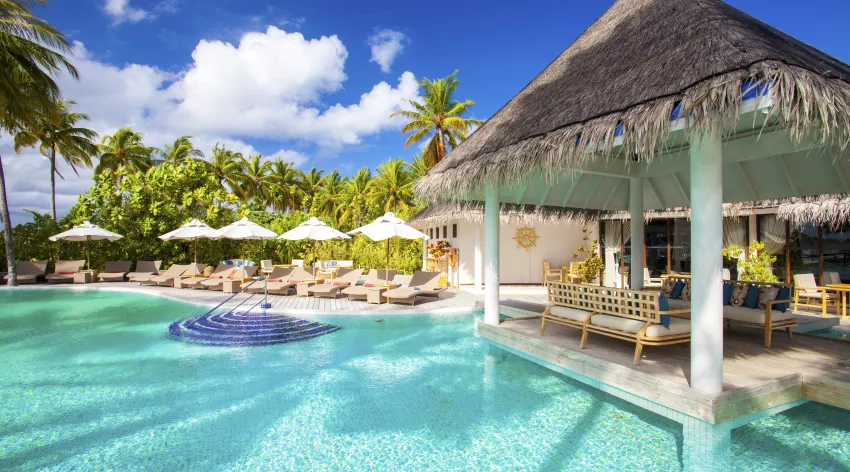 Tropical resort pool with thatched roof shelter and palm trees