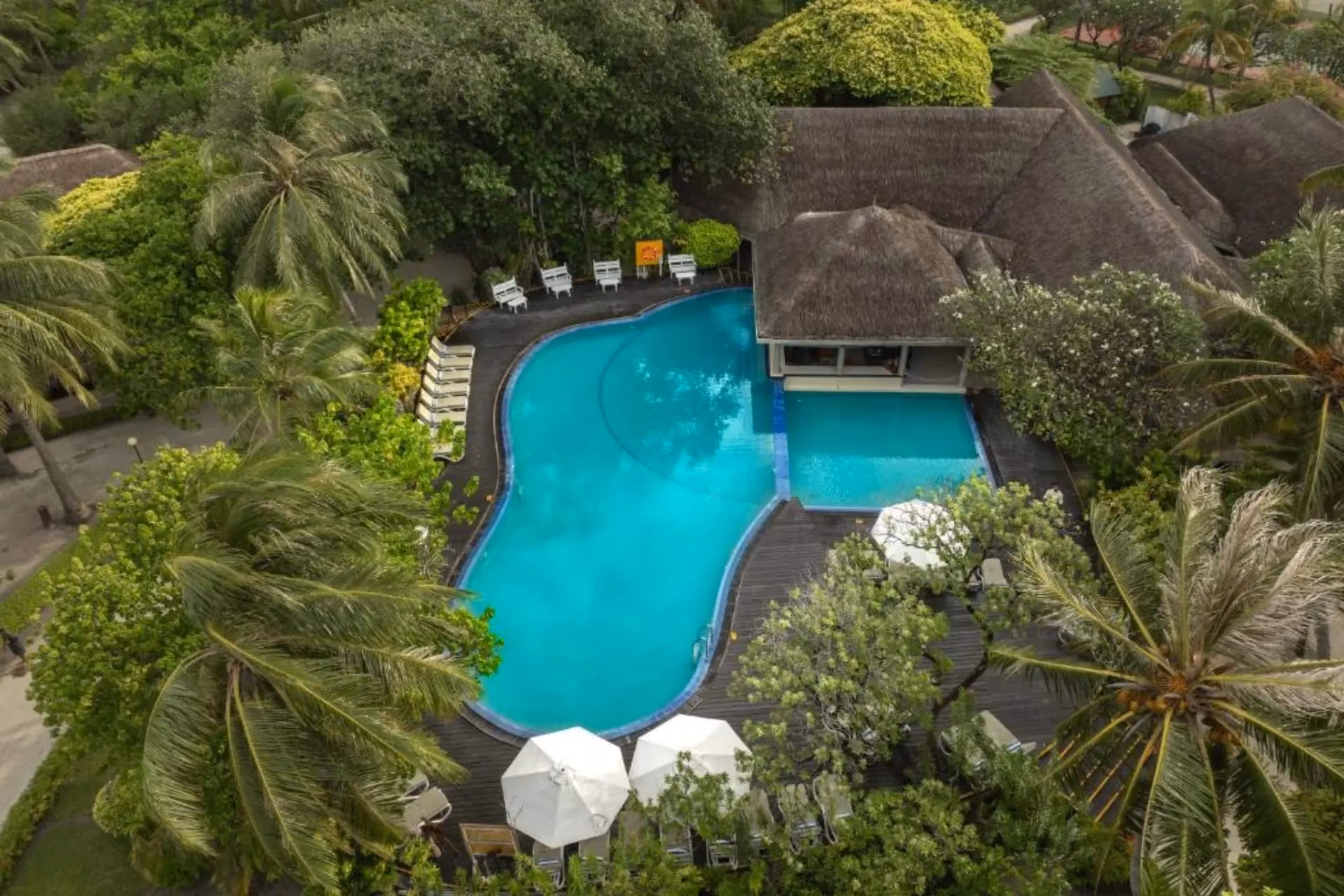 Adaaran Select resort pool surrounded by trees and palm plants