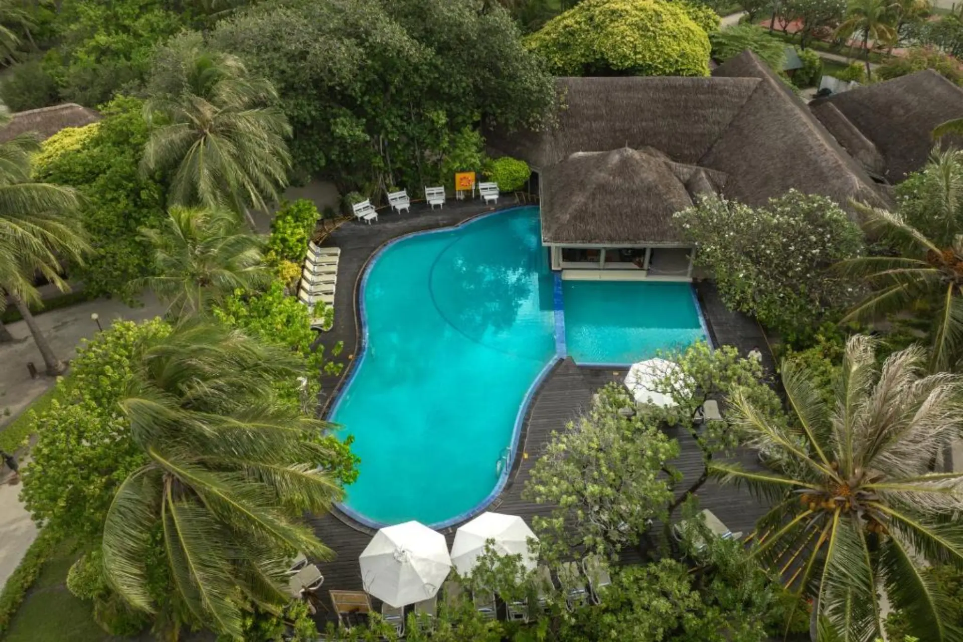 Adaaran Select resort pool surrounded by trees and palm plants