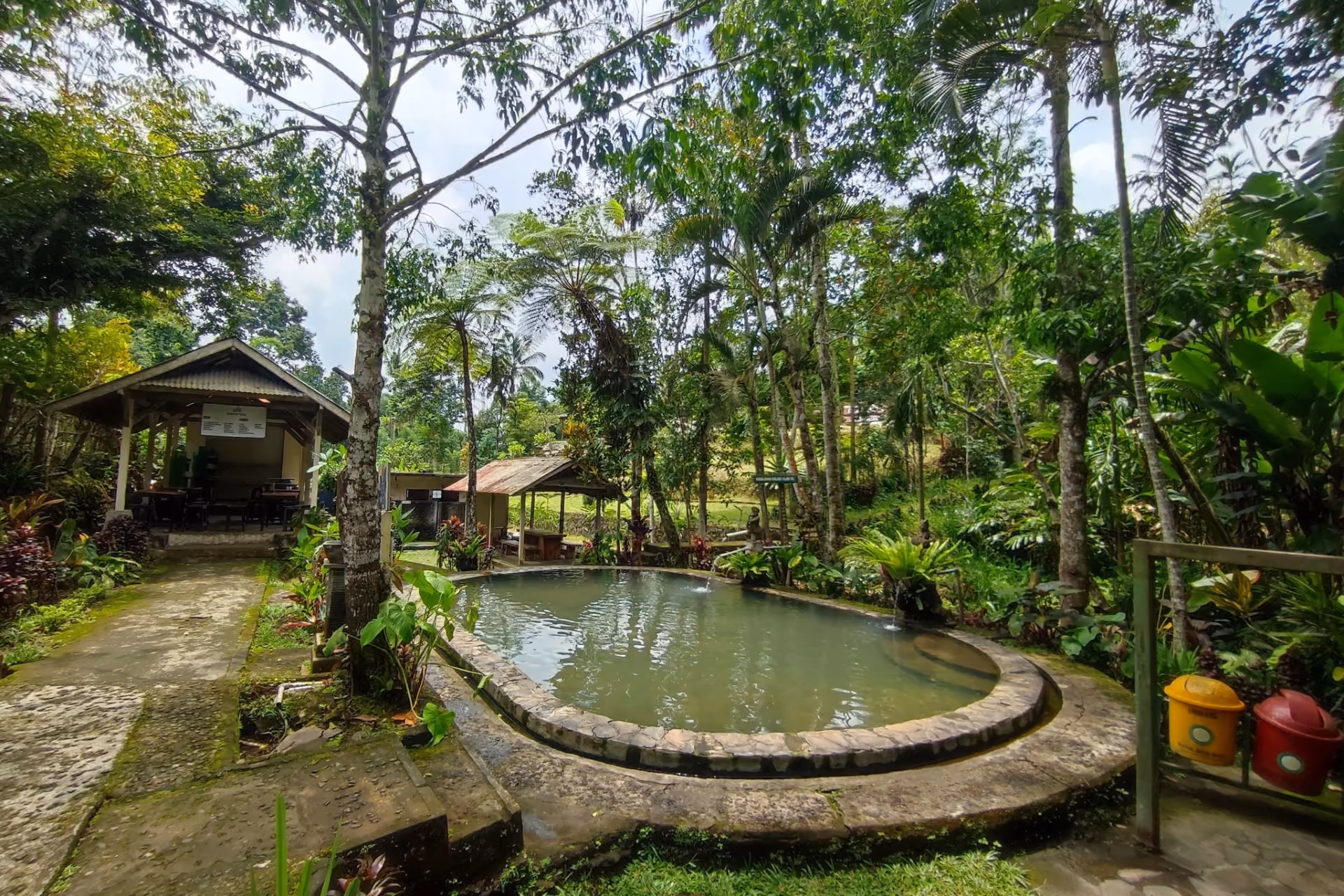Natural hot spring pool surrounded by tall trees at Angseri