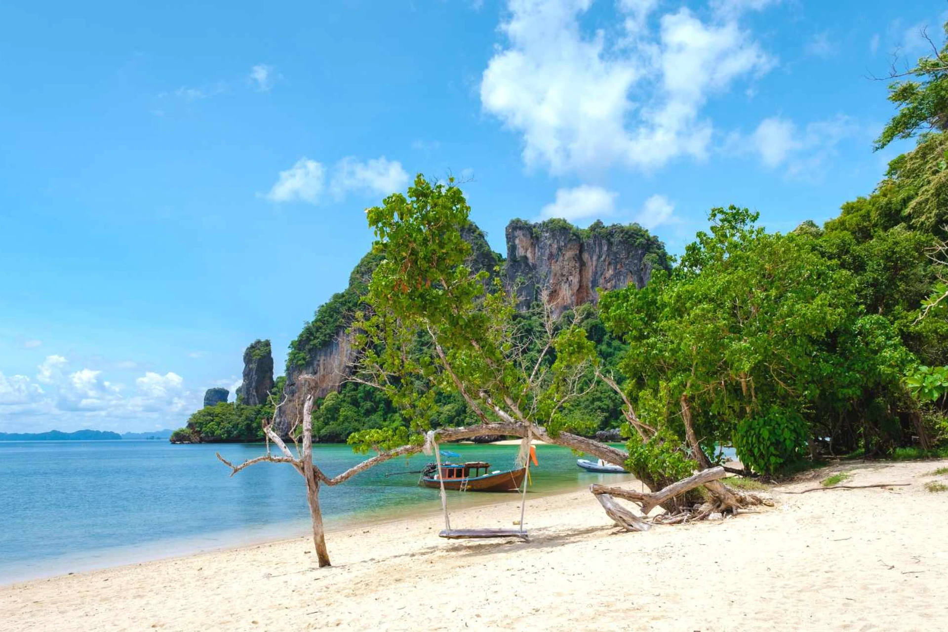 Wooden swing hanging from tree on Hong Island beach