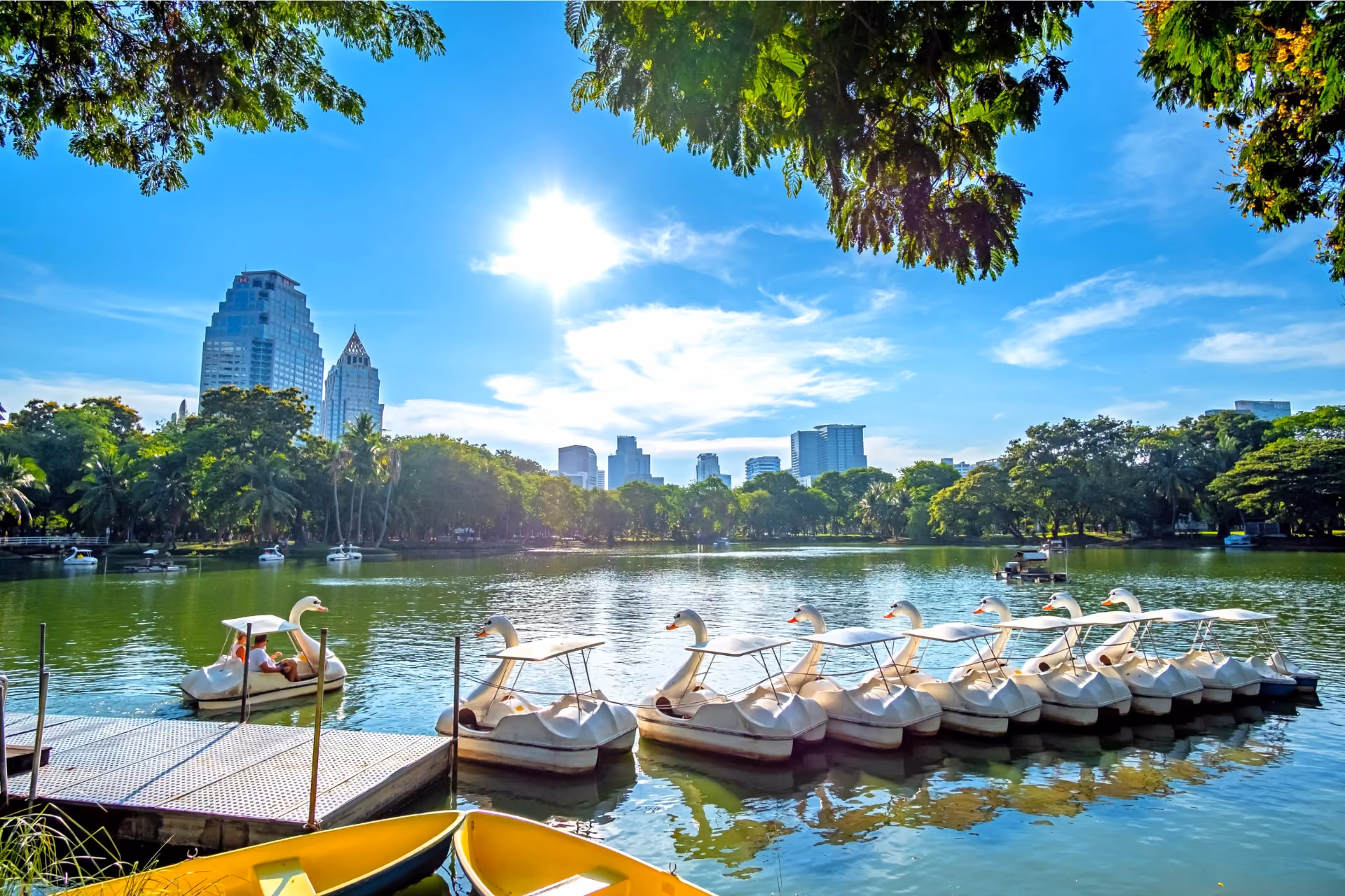Swan boats moored on green water at Lumpini Park Bangkok