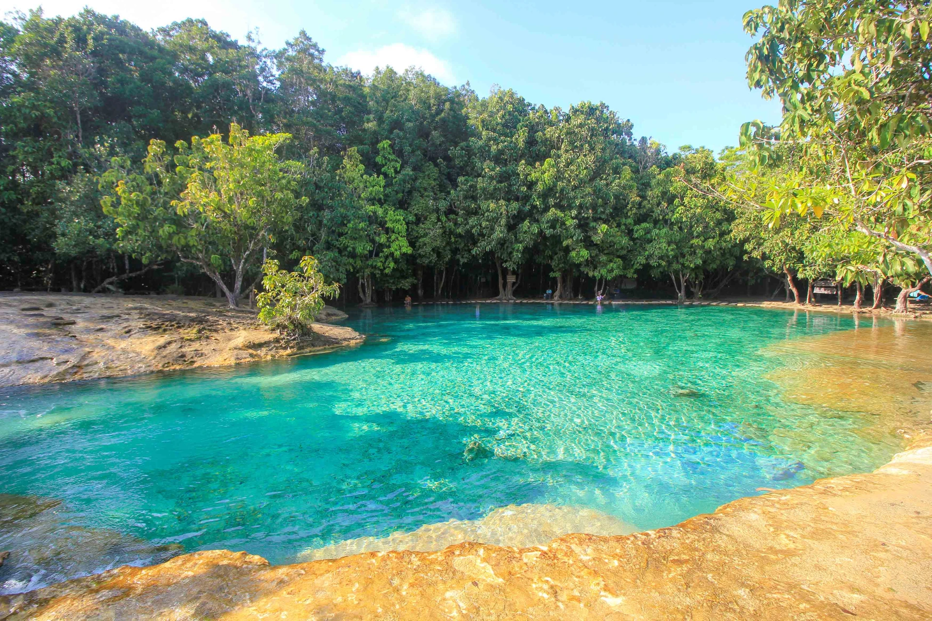 Clear blue-green water pool surrounded by trees in Krabi