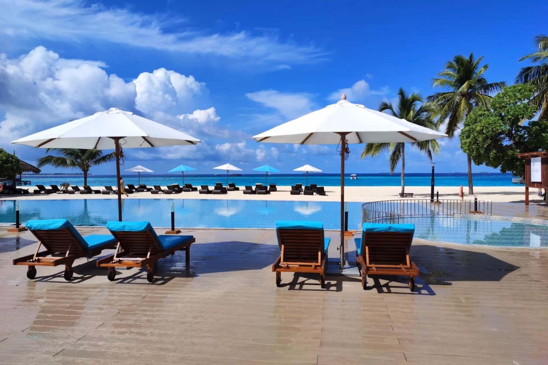 Brennia Kottefaru pool with loungers, umbrellas, and ocean view