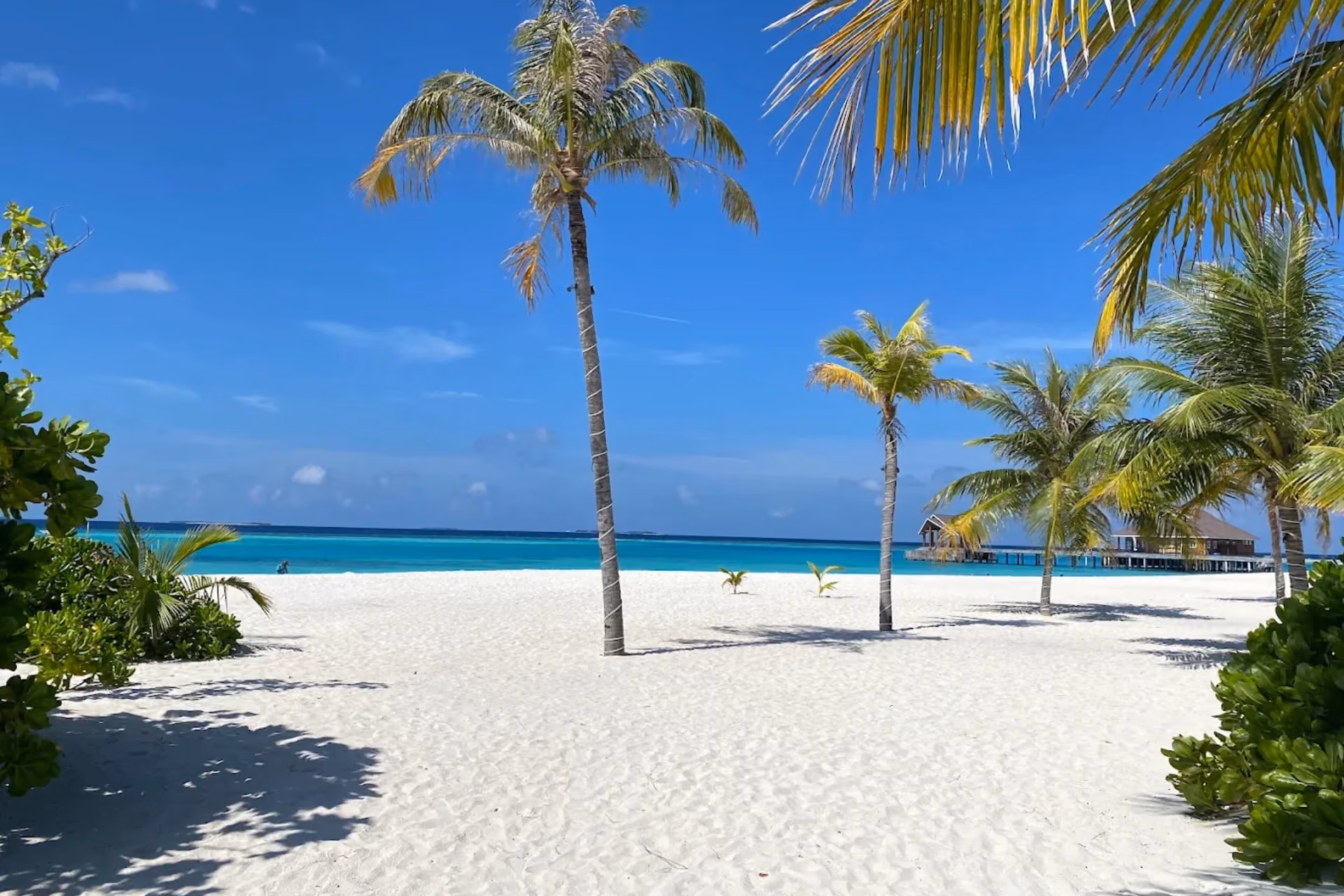 Brennia Kottefaru Beach with palm trees and blue water
