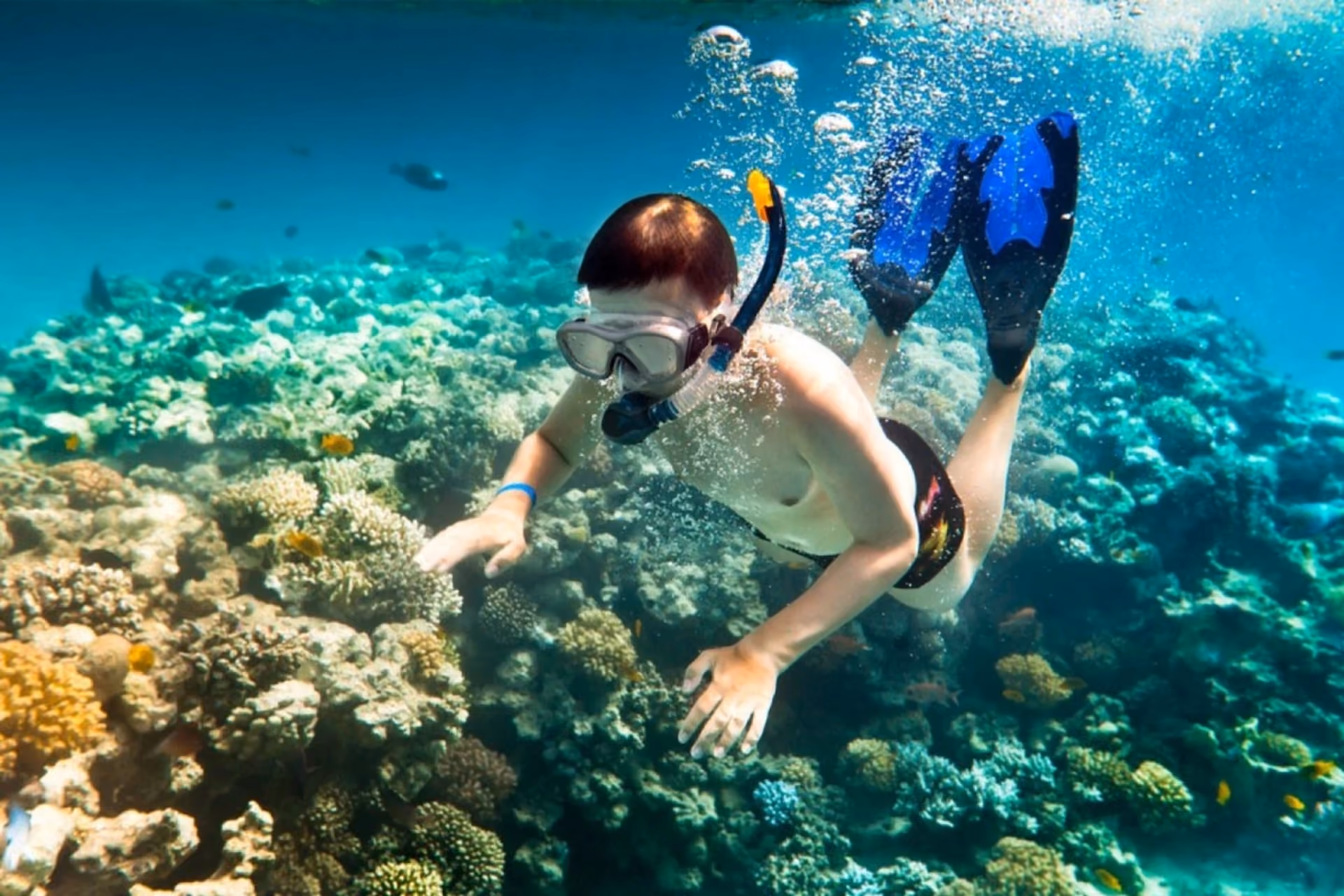 Child snorkeling above coral reef in Nha Trang