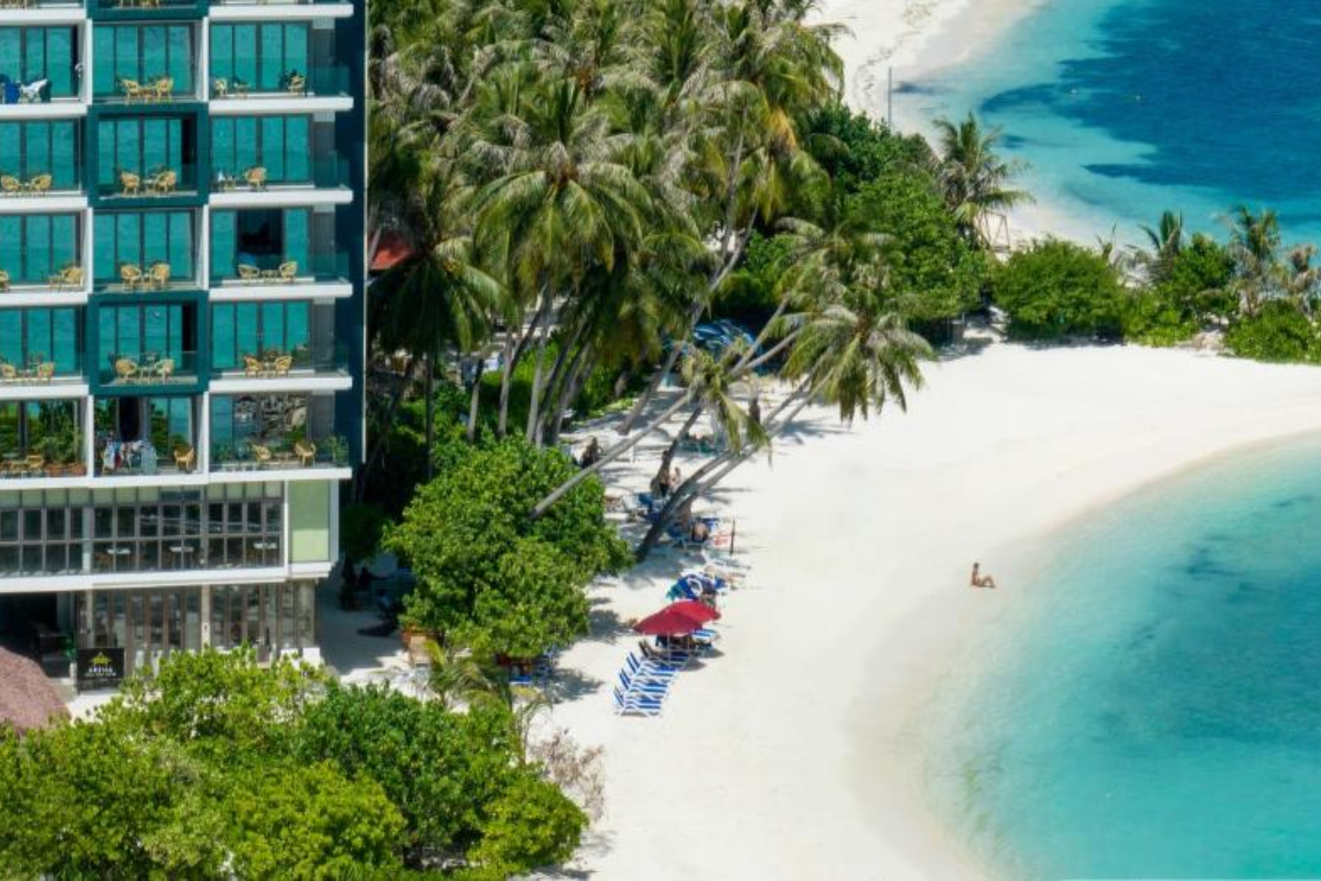 Beach chairs and palm trees at Arena Beach Maafushi