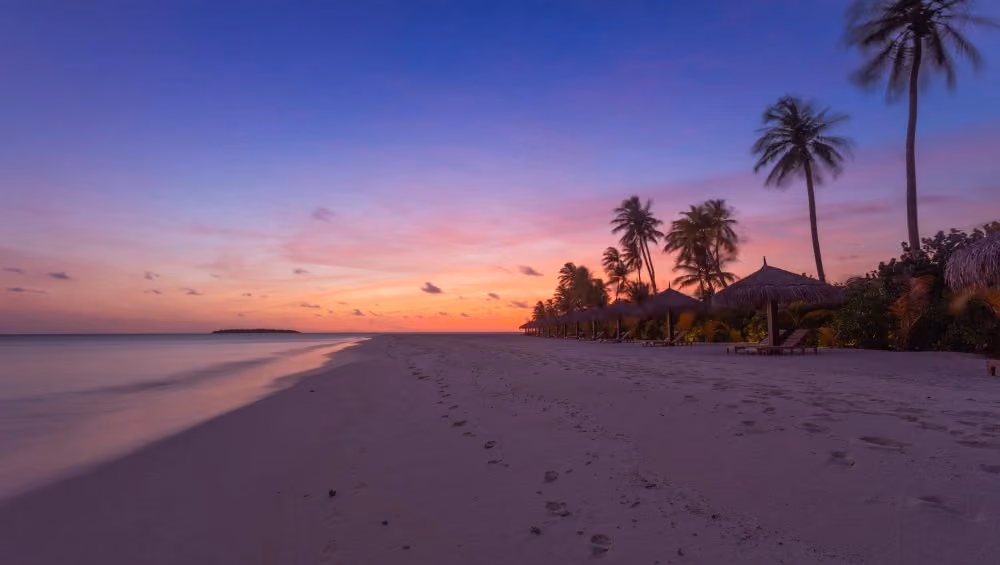 Tropical beach at sunset with palm trees and footprints