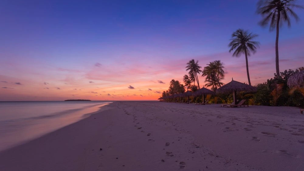 Tropical beach at sunset with palm trees and footprints