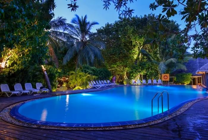 Lit-up pool surrounded by trees and lounge chairs at night